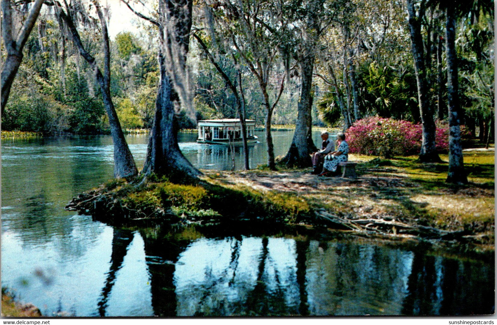 Florida Silver Springs Glass Bottom Boat On Silver River 1982 - Silver Springs