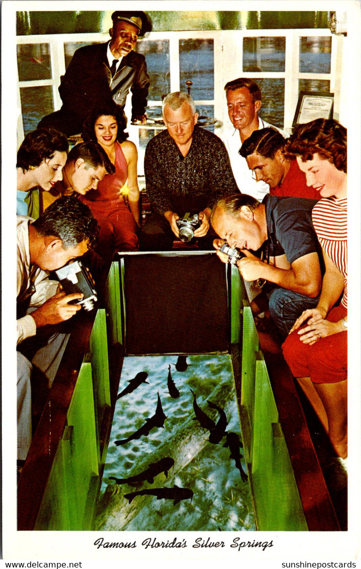 Florida Silver Springs Passengers Aboard A Glass Bottom Boat - Silver Springs