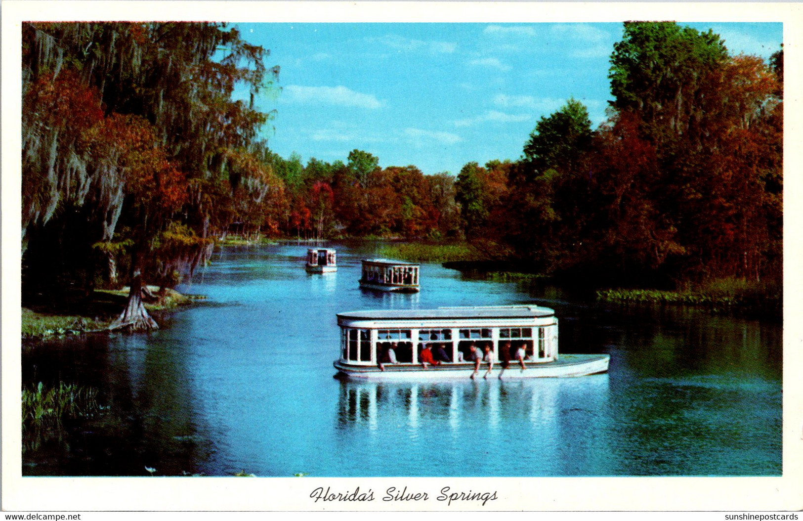 Florida Silver Springs Glass Bottom Boats On Silver River - Silver Springs