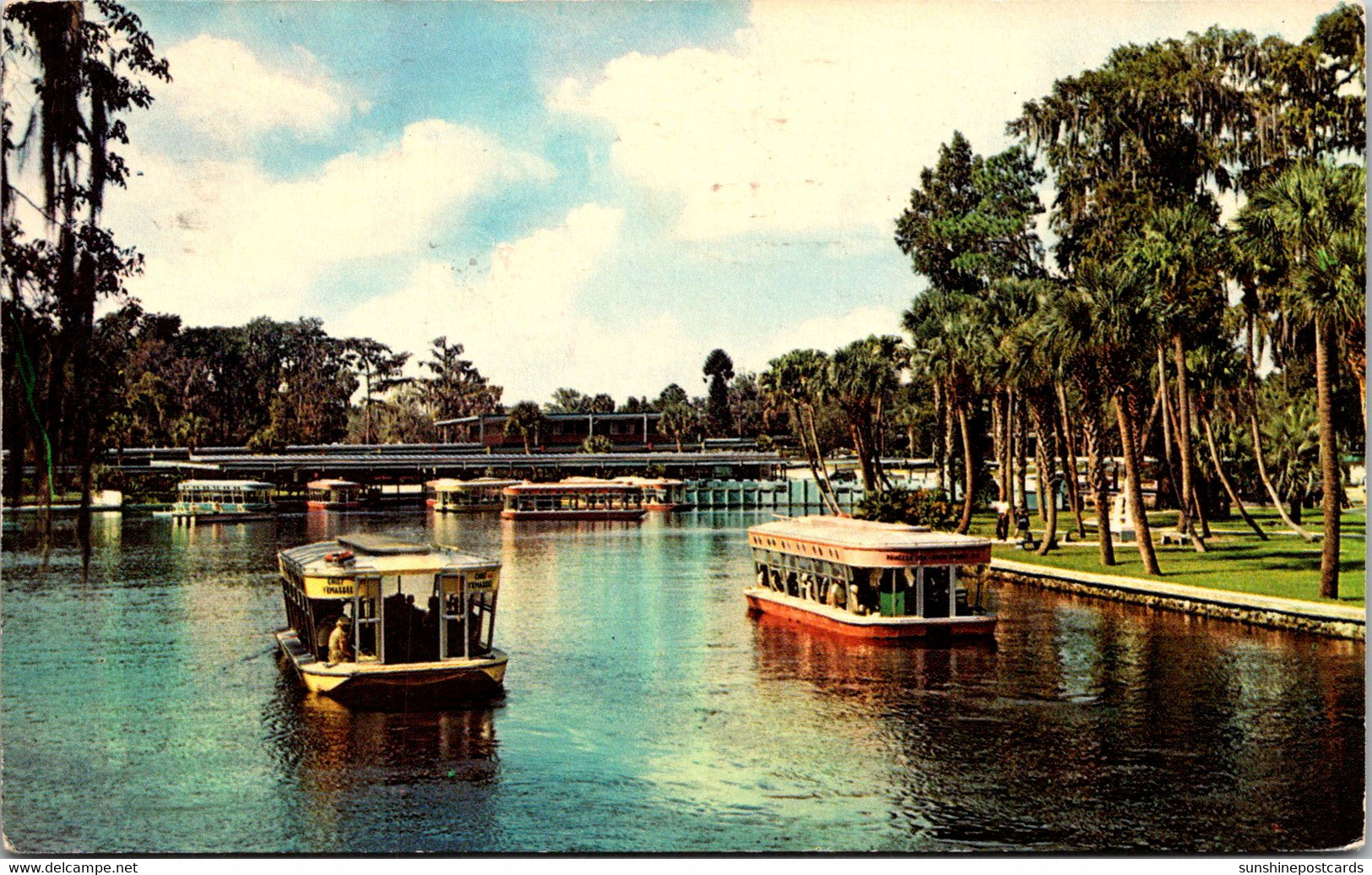 Florida Silver Springs Glass Bottom Boats 1968 - Silver Springs