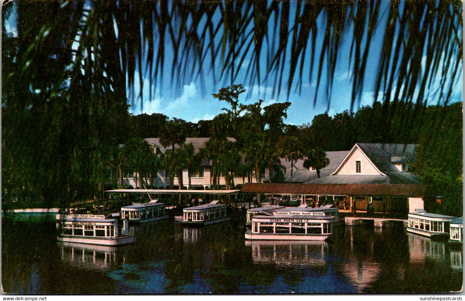 Florida Silver Springs Glass Bottom Boats - Silver Springs