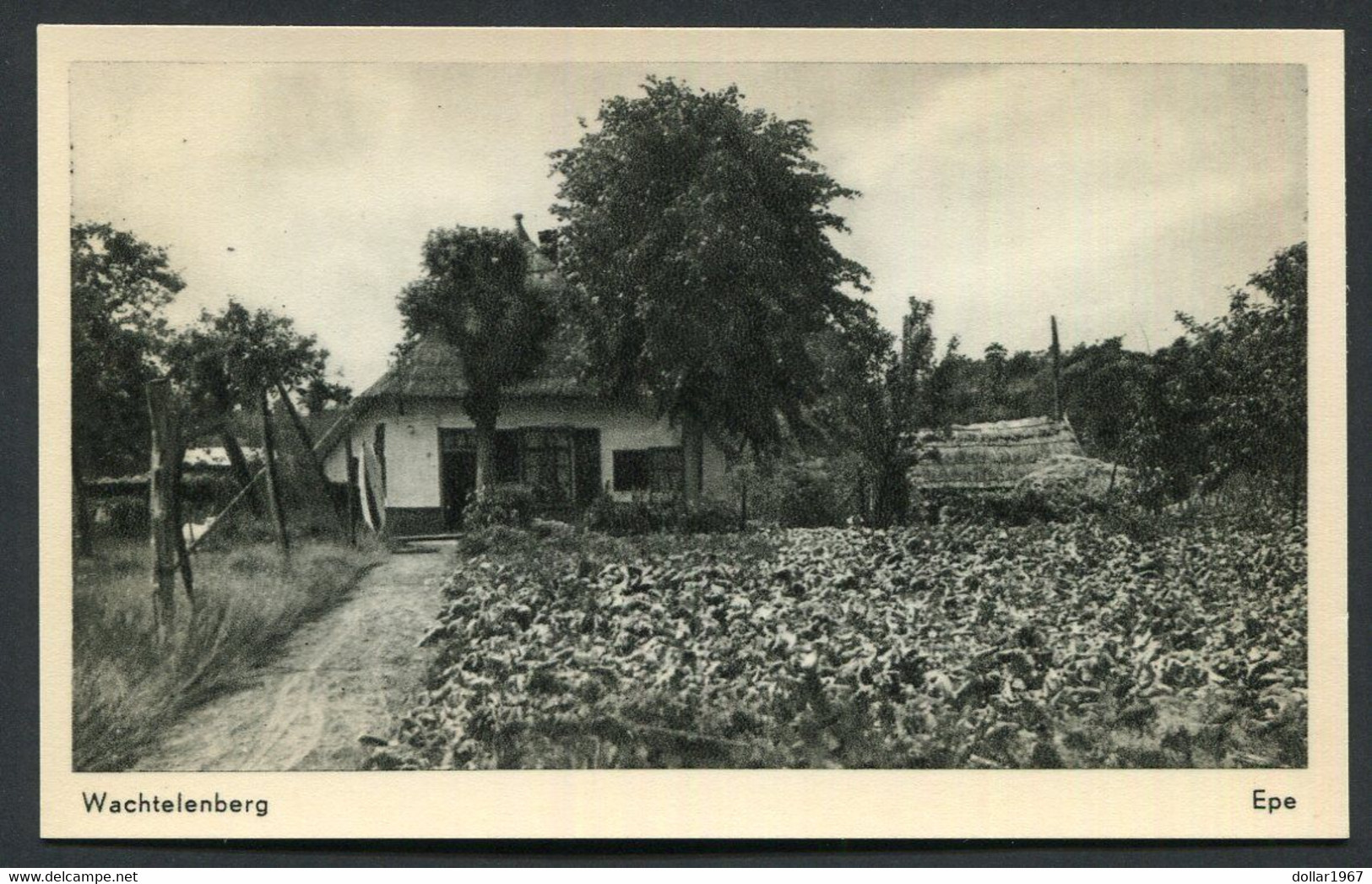 Wachtelenberg Epe - ( Vroeger Stadion ) Ongelopen..  - NOT  Used  ,,2 Scans For Condition. (Originalscan !! ) - Epe