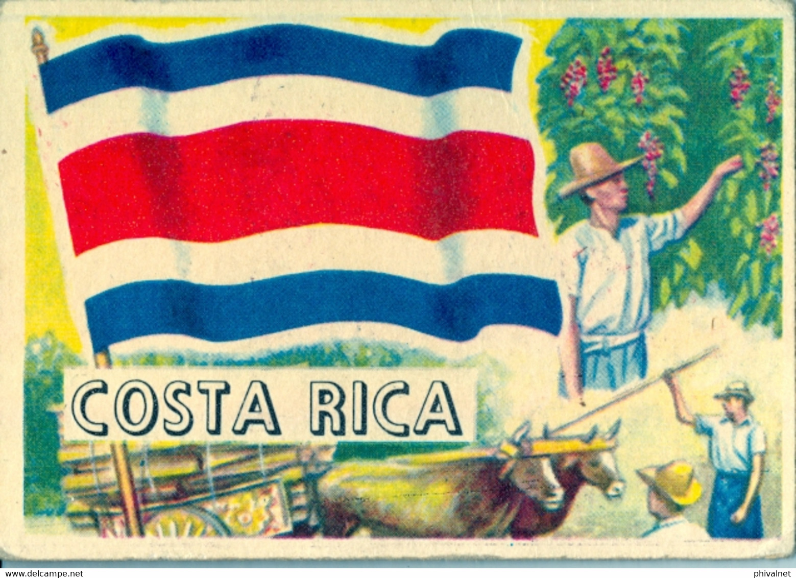 CROMO ANTIGUO , FLAGGEN DER WELT , BANDERAS , FLAGS , COSTA RICA , CAFÉ , COFFEE - Altri & Non Classificati