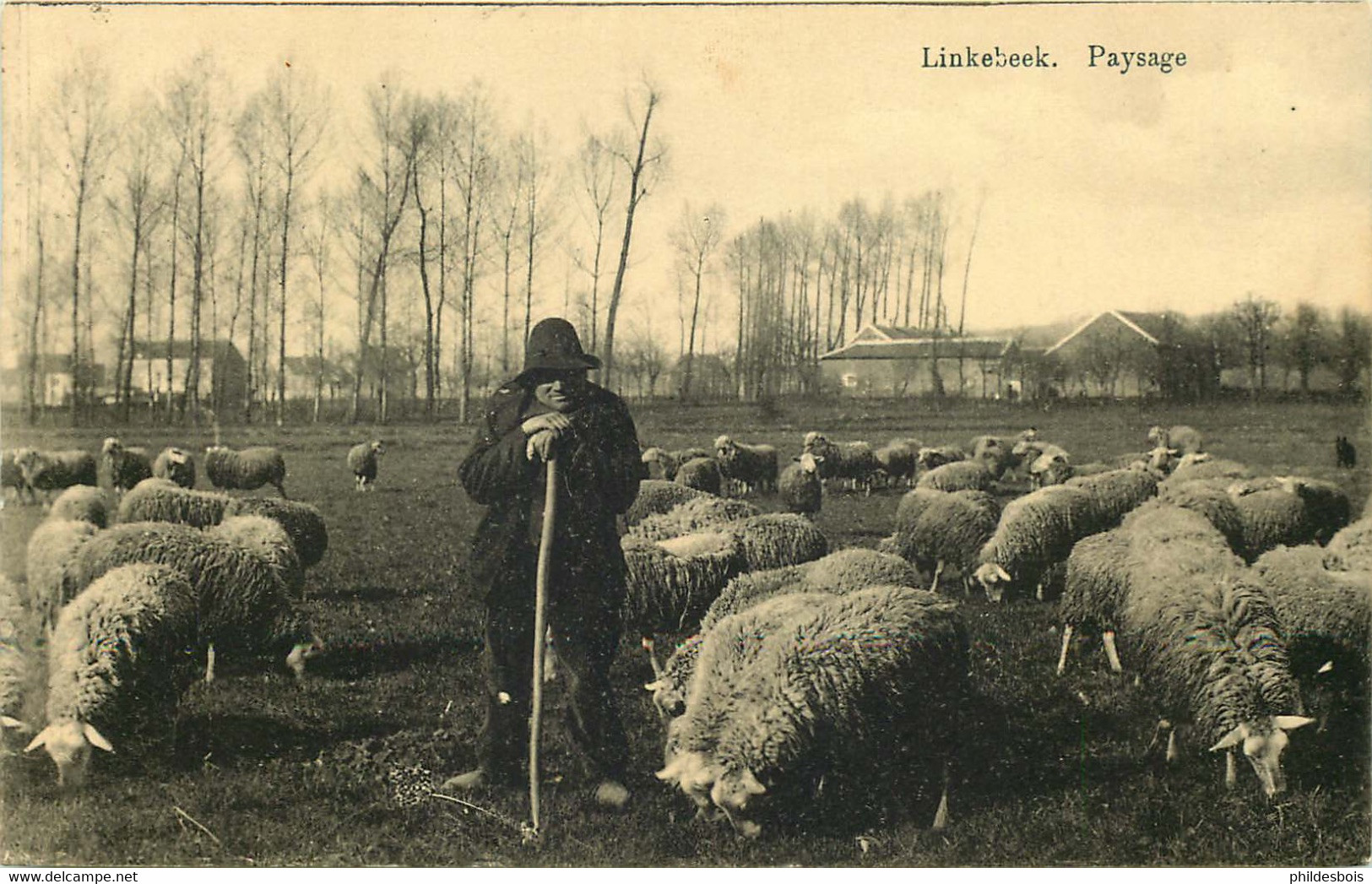 BELGIQUE  LINKEBEEK   Paysage - Zonder Classificatie