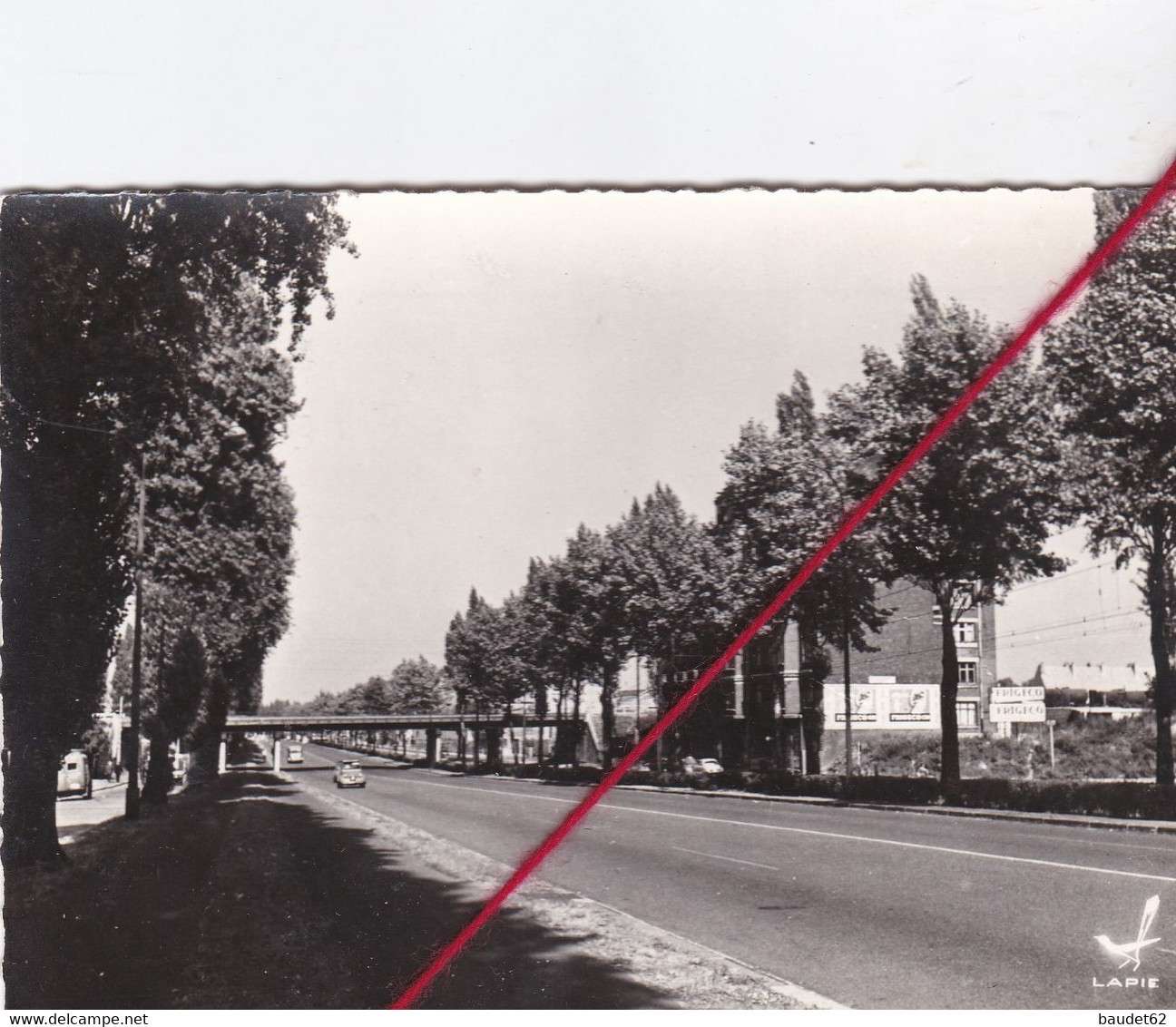 CP 59 - MARCQ EN BAROEUL    -  Avenue De La République - Marcq En Baroeul