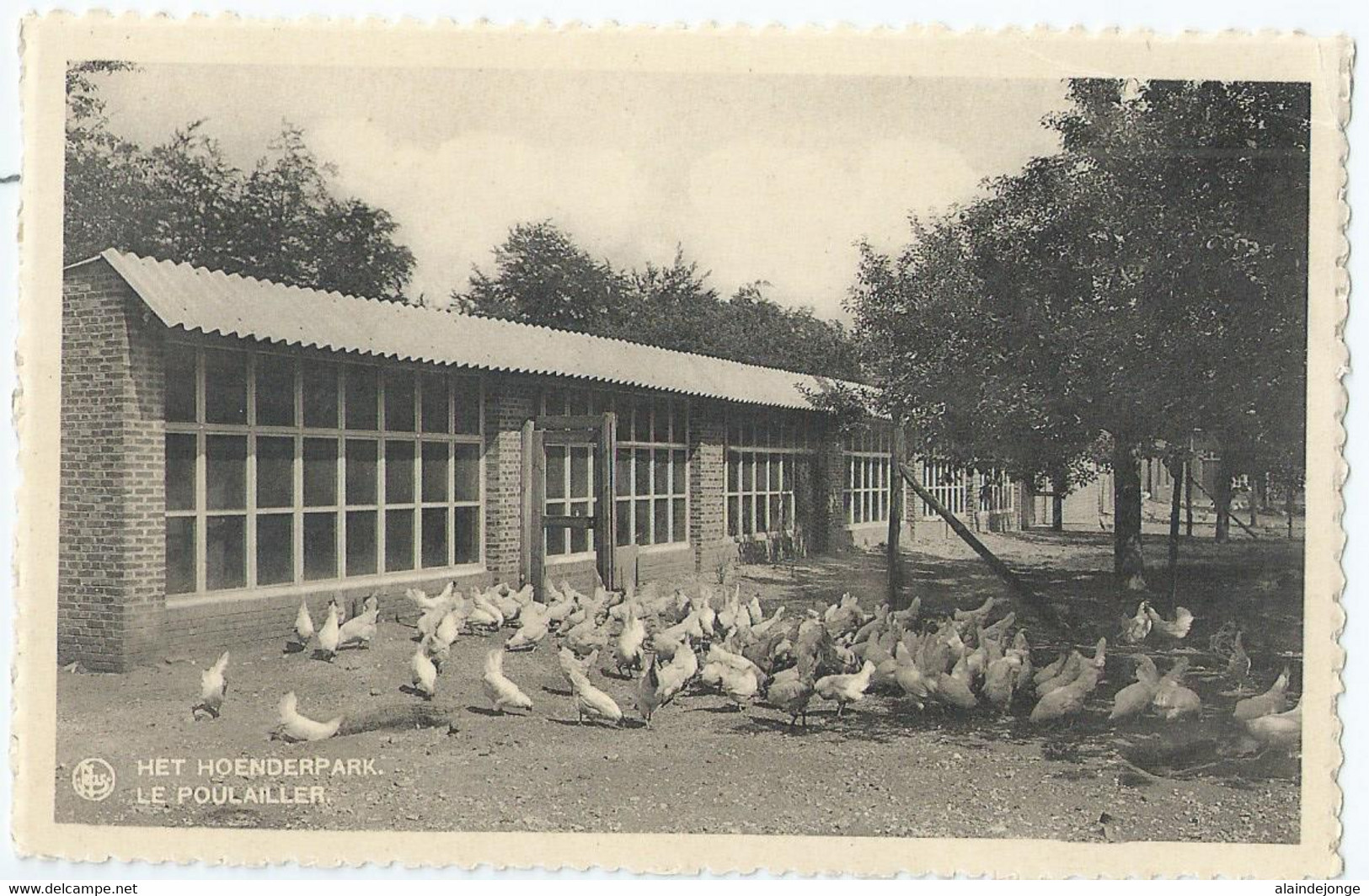 Westmalle - Cisterciënzer Abdij - Abbaye Cistercienne - Het Hoenderpark - Le Poulailler - Malle