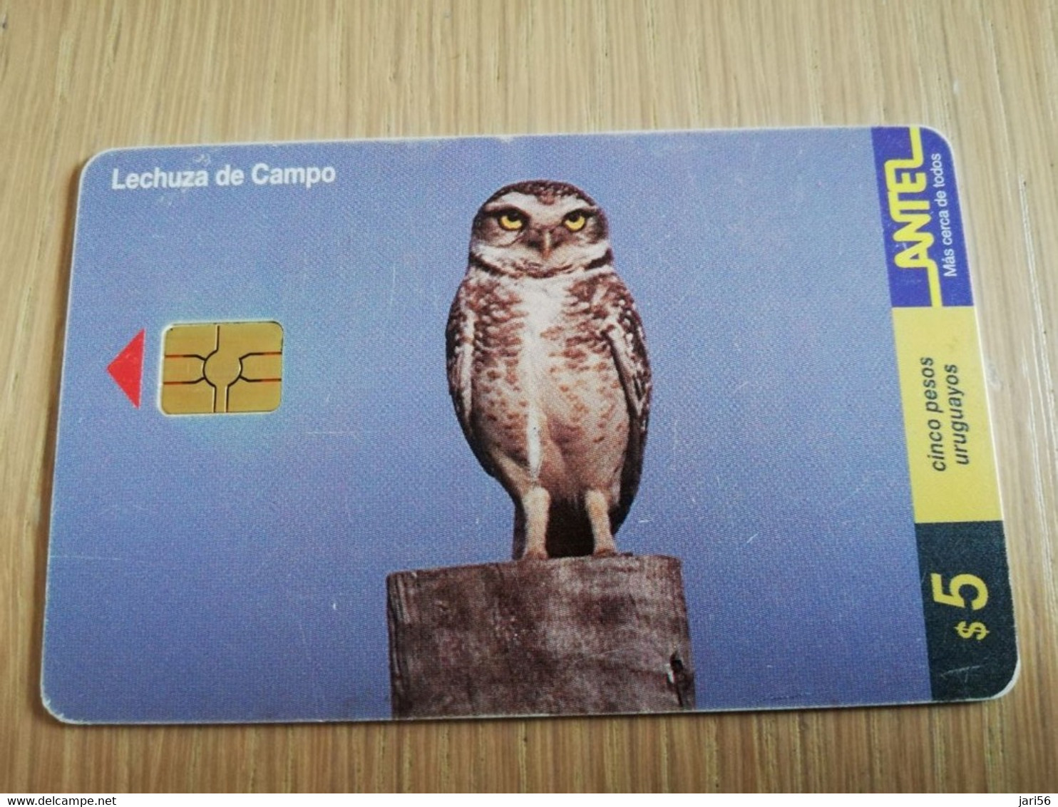 URUGUAY CHIPCARD  BIRD /VOGEL  $5 LECHUZA DE CAMPO      Nice Used Card    **4506** - Uruguay