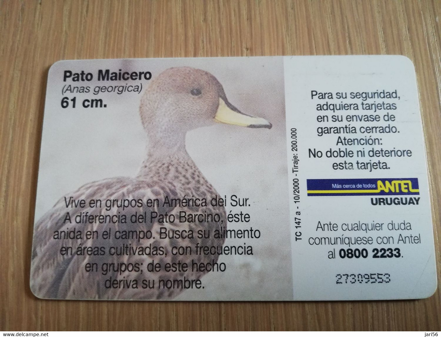 URUGUAY CHIPCARD  BIRD /VOGEL  $10  PATO MAICERO        Nice Used Card    **4508** - Uruguay