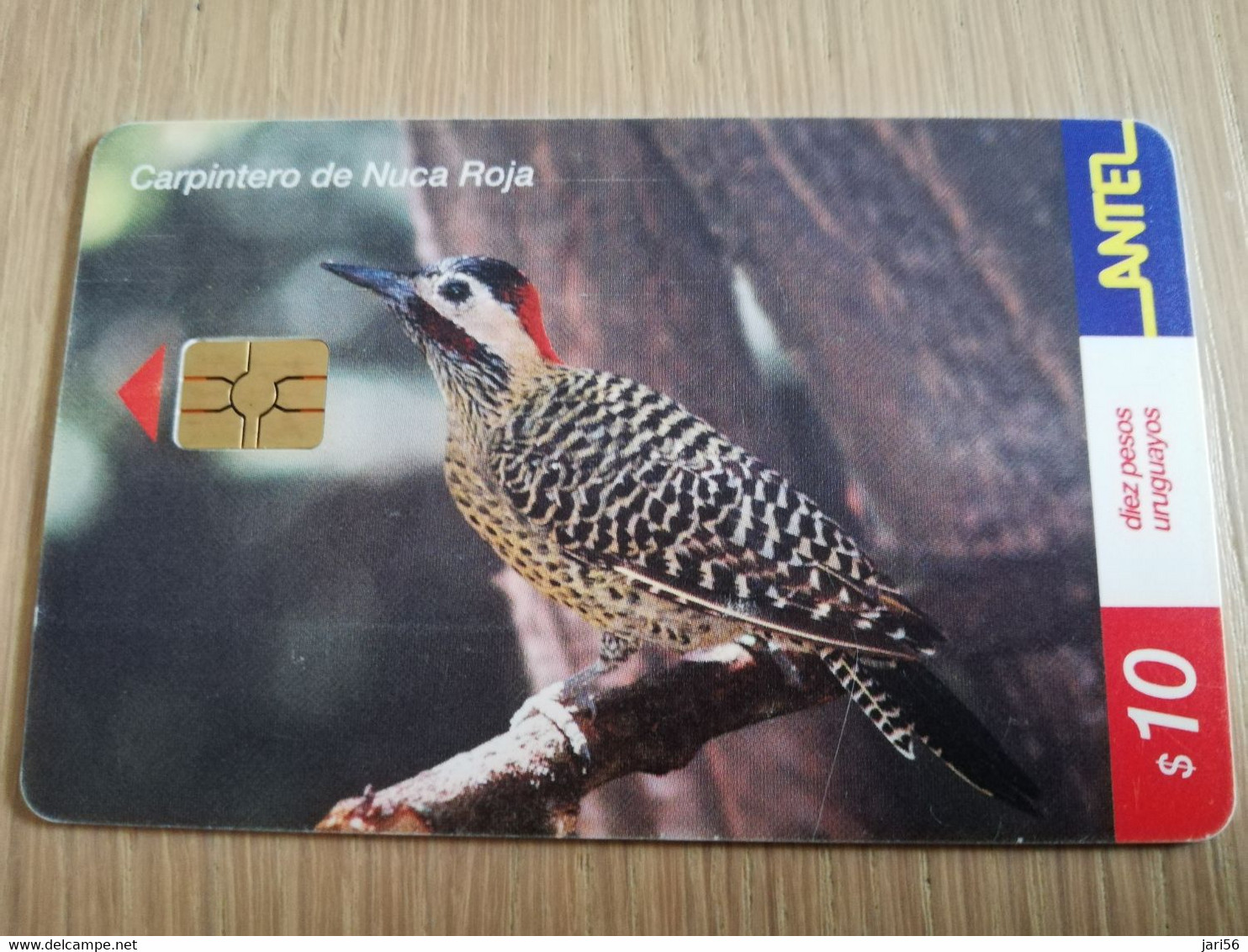 URUGUAY CHIPCARD  BIRD /VOGEL  $10  CARPINTERO DE NUCA ROJA        Nice Used Card    **4511** - Uruguay
