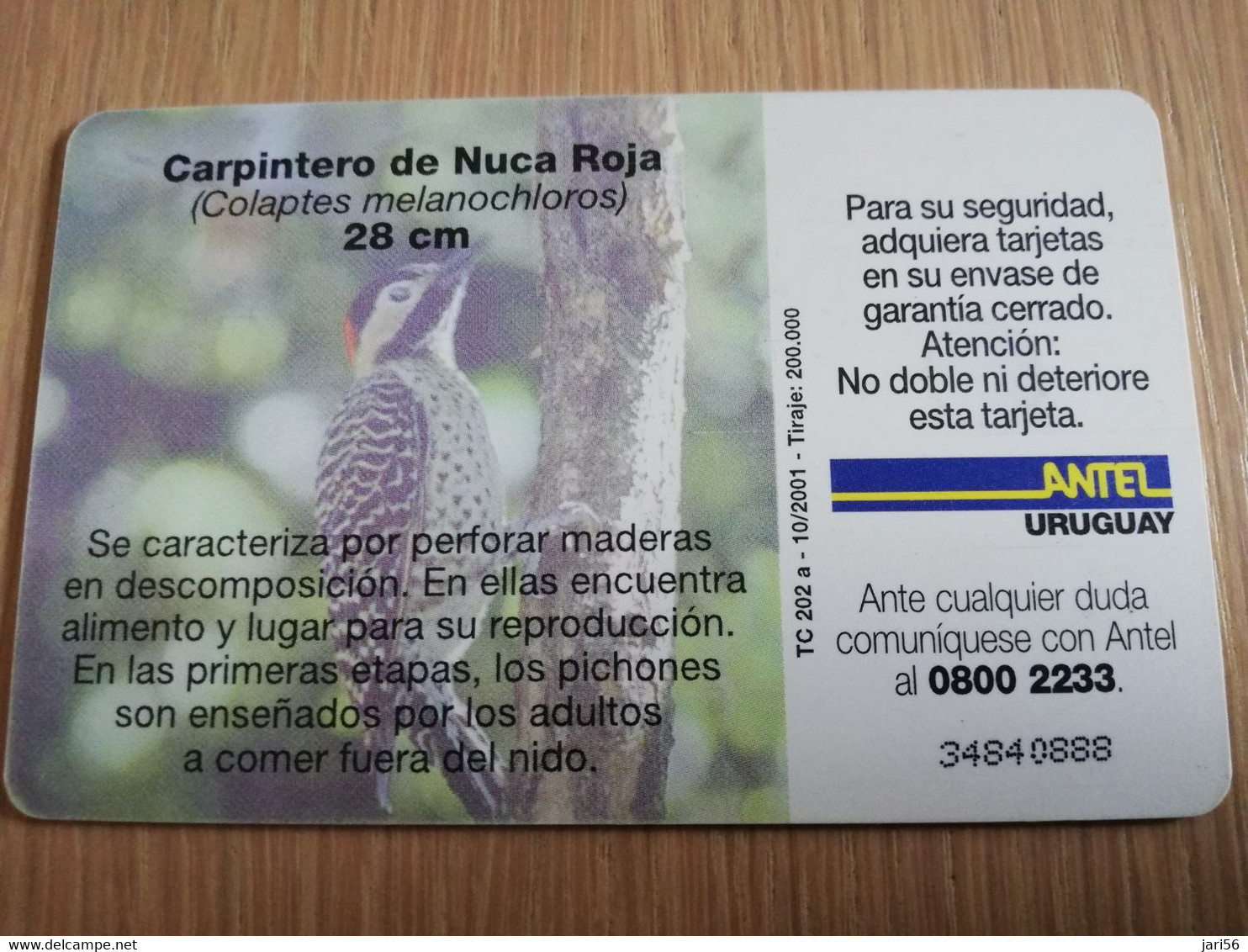 URUGUAY CHIPCARD  BIRD /VOGEL  $10  CARPINTERO DE NUCA ROJA        Nice Used Card    **4511** - Uruguay