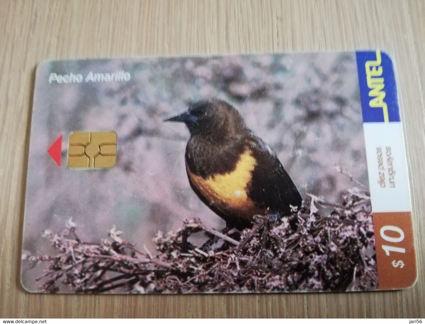 URUGUAY CHIPCARD  BIRD /VOGEL  $10  PECHO AMARILLO        Nice Used Card    **4512** - Uruguay