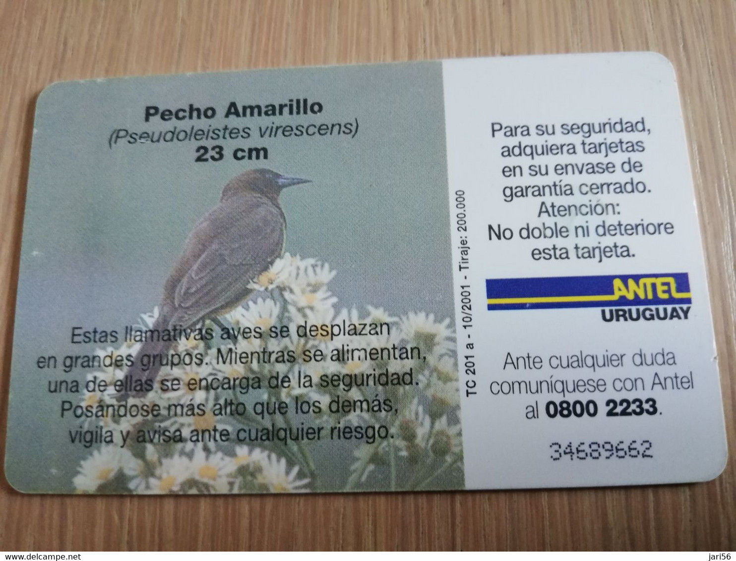 URUGUAY CHIPCARD  BIRD /VOGEL  $10  PECHO AMARILLO        Nice Used Card    **4512** - Uruguay