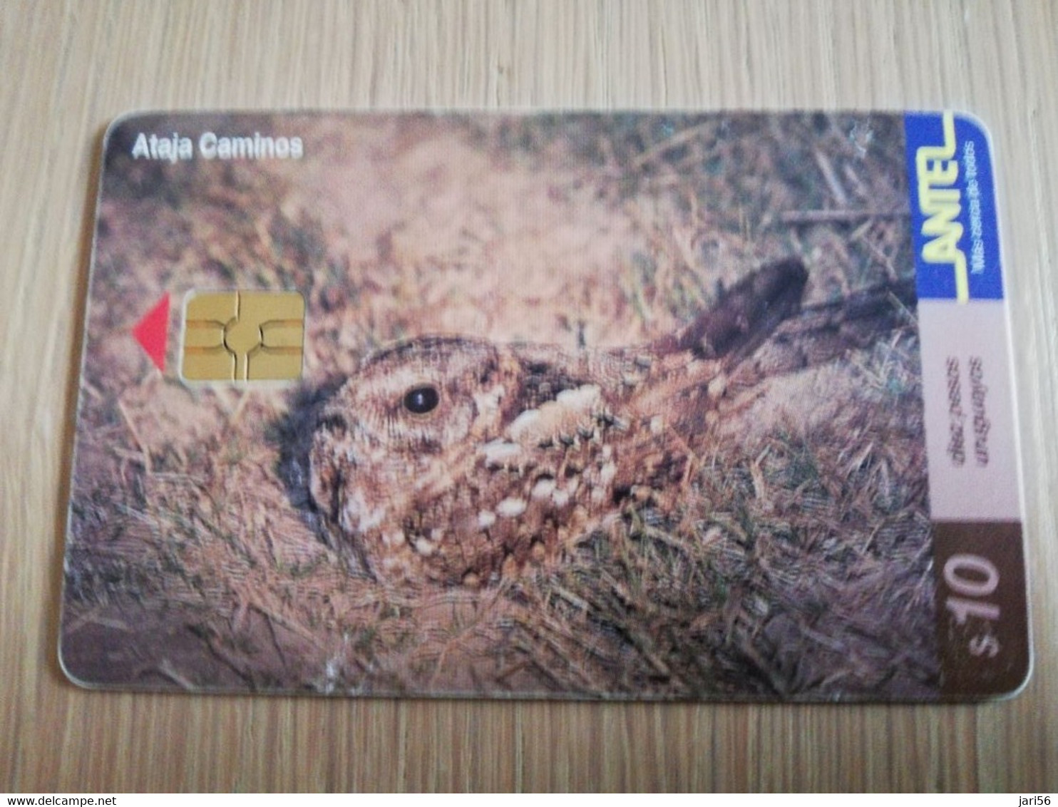 URUGUAY CHIPCARD  BIRD /VOGEL  $10  ATAJA CAMINOS        Nice Used Card    **4513** - Uruguay