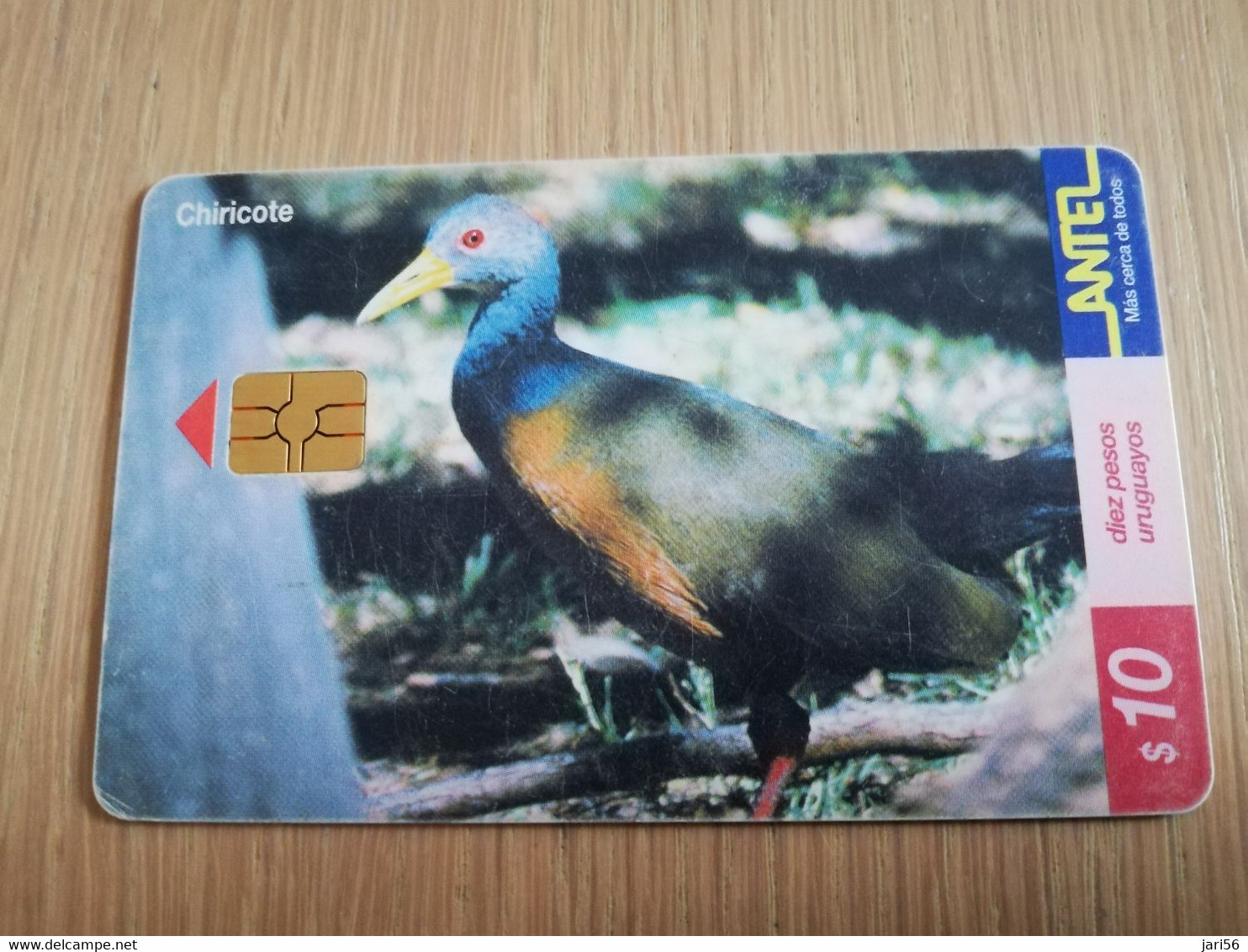 URUGUAY CHIPCARD  BIRD /VOGEL  $10 CHIRICOTE          Nice Used Card    **4515** - Uruguay
