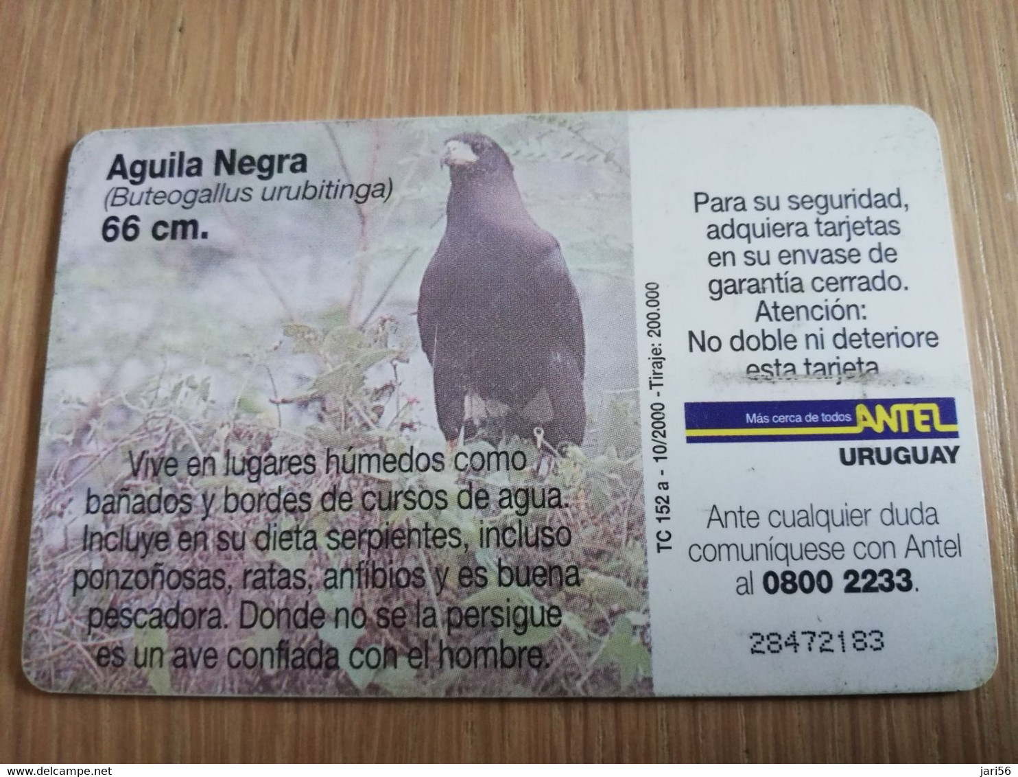 URUGUAY CHIPCARD  BIRD /VOGEL  $25  AGUILA NEGRA          Nice Used Card    **4516** - Uruguay