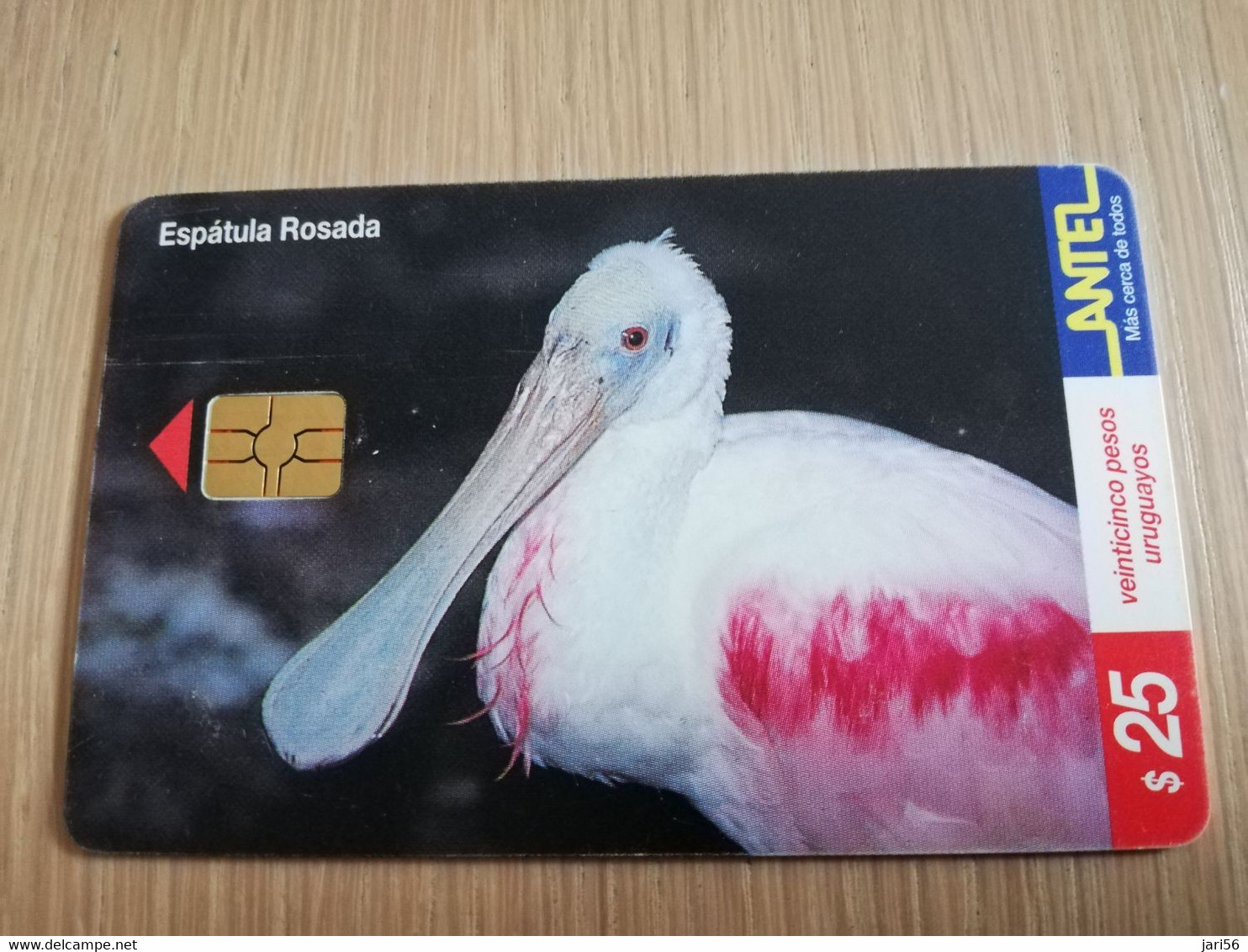 URUGUAY CHIPCARD  BIRD /VOGEL  $25  ESPATULA ROSADA         Nice Used Card    **4517** - Uruguay