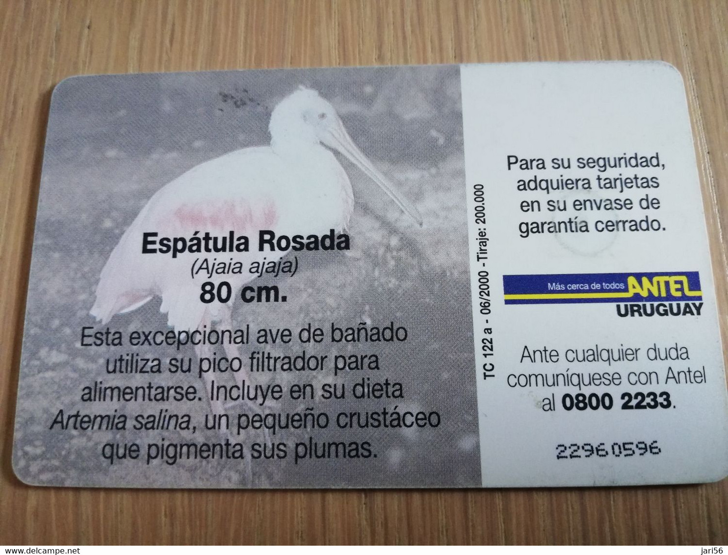 URUGUAY CHIPCARD  BIRD /VOGEL  $25  ESPATULA ROSADA         Nice Used Card    **4517** - Uruguay