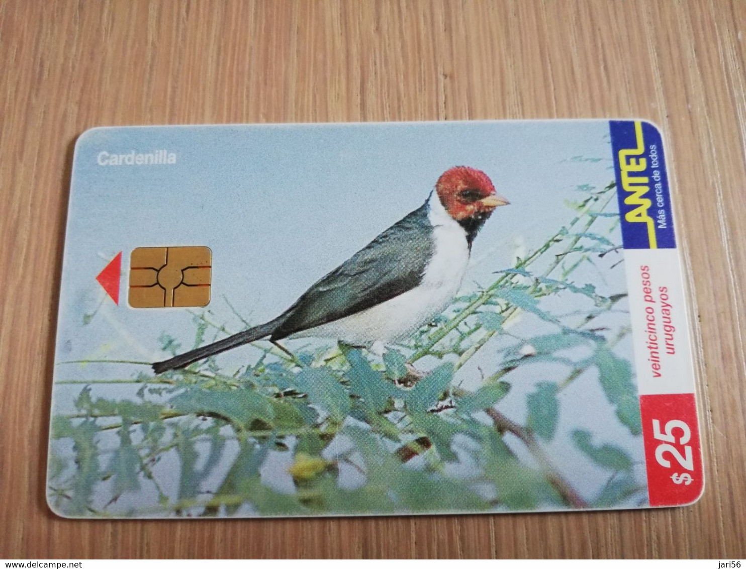 URUGUAY CHIPCARD  BIRD /VOGEL  $25  CARDENILLA          Nice Used Card    **4518** - Uruguay