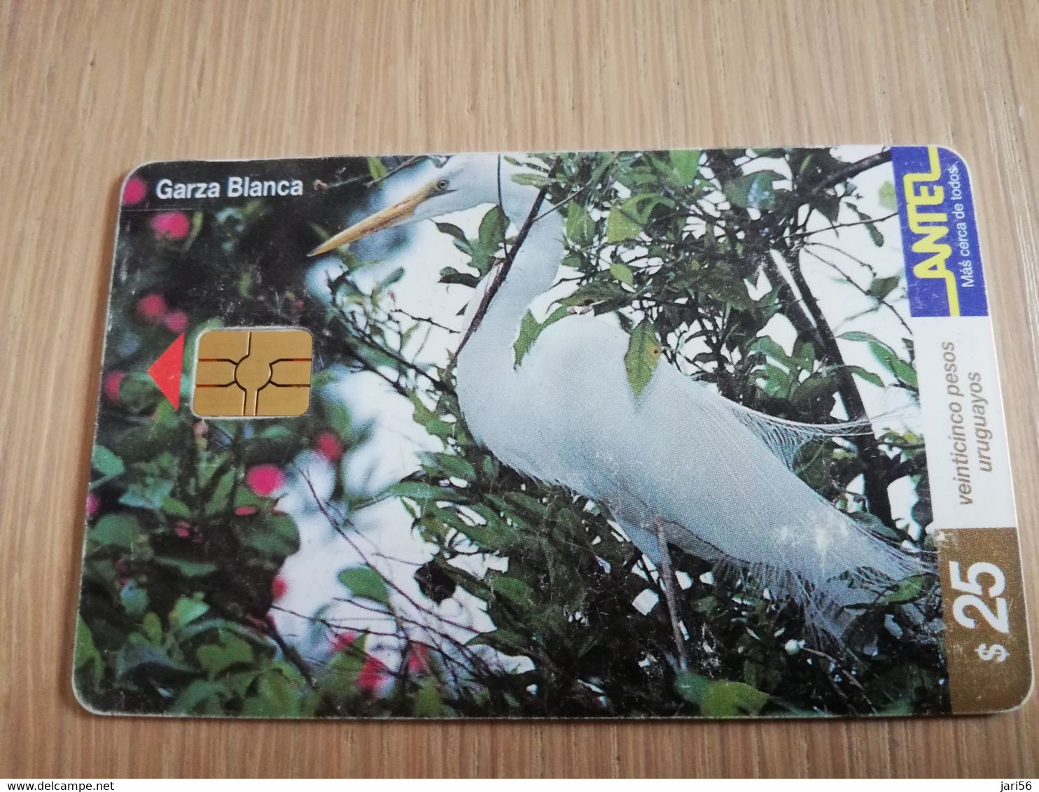 URUGUAY CHIPCARD  BIRD /VOGEL  $25  GARZA BIANCA           Nice Used Card    **4519** - Uruguay