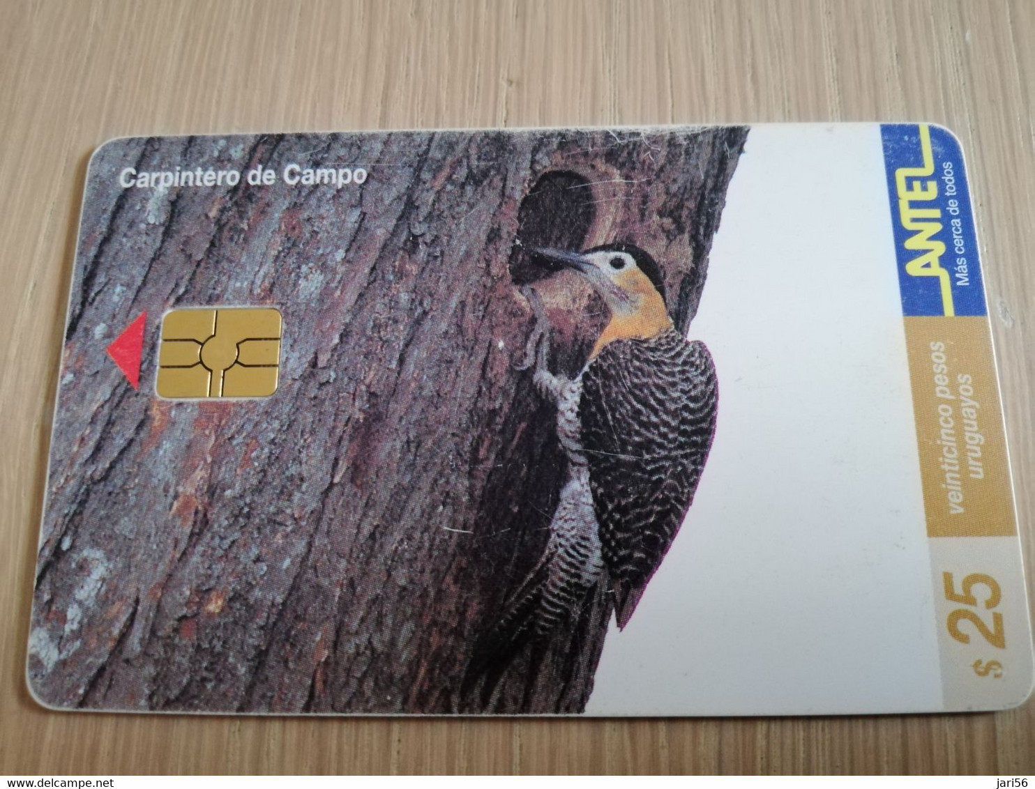 URUGUAY CHIPCARD  BIRD /VOGEL  $25  CARPENTERO DE CAMPO           Nice Used Card    **4520** - Uruguay