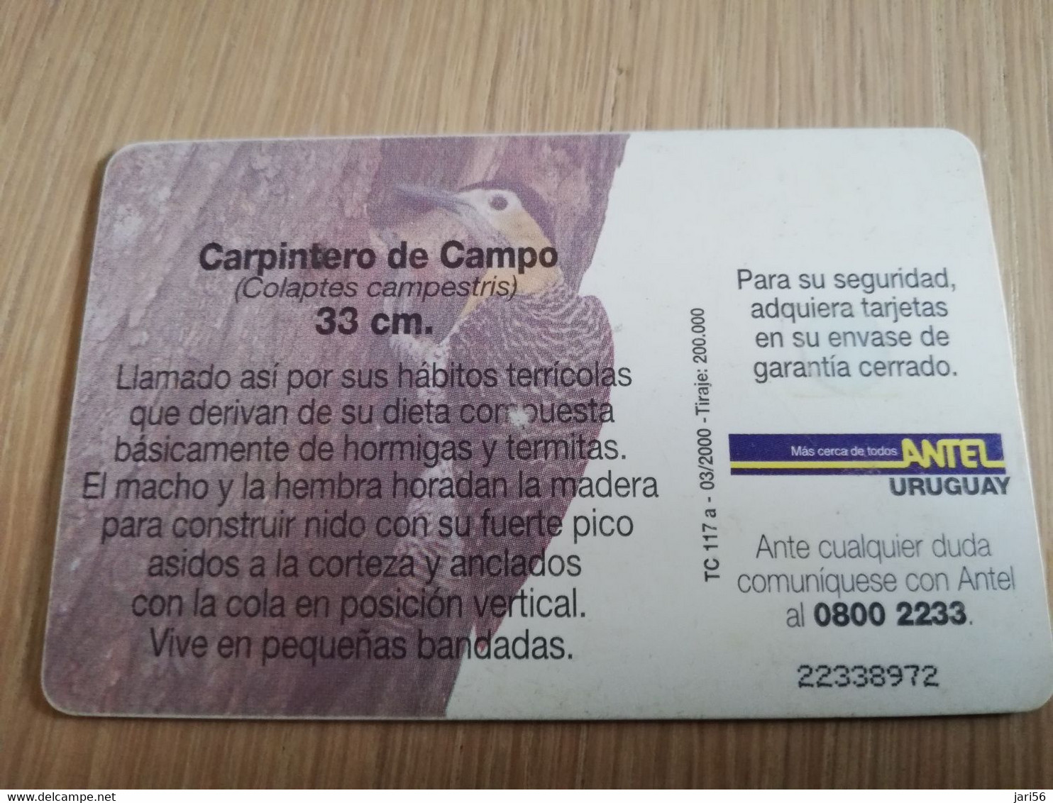 URUGUAY CHIPCARD  BIRD /VOGEL  $25  CARPENTERO DE CAMPO           Nice Used Card    **4520** - Uruguay