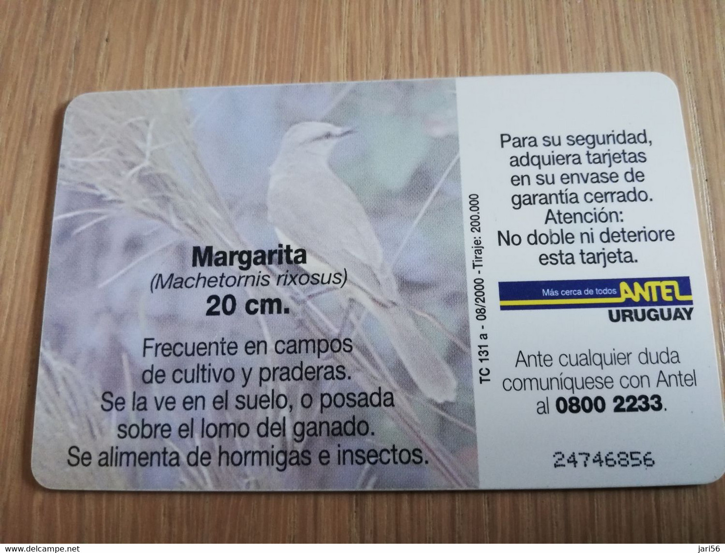 URUGUAY CHIPCARD  BIRD /VOGEL  $25  MARGARITA           Nice Used Card    **4521** - Uruguay