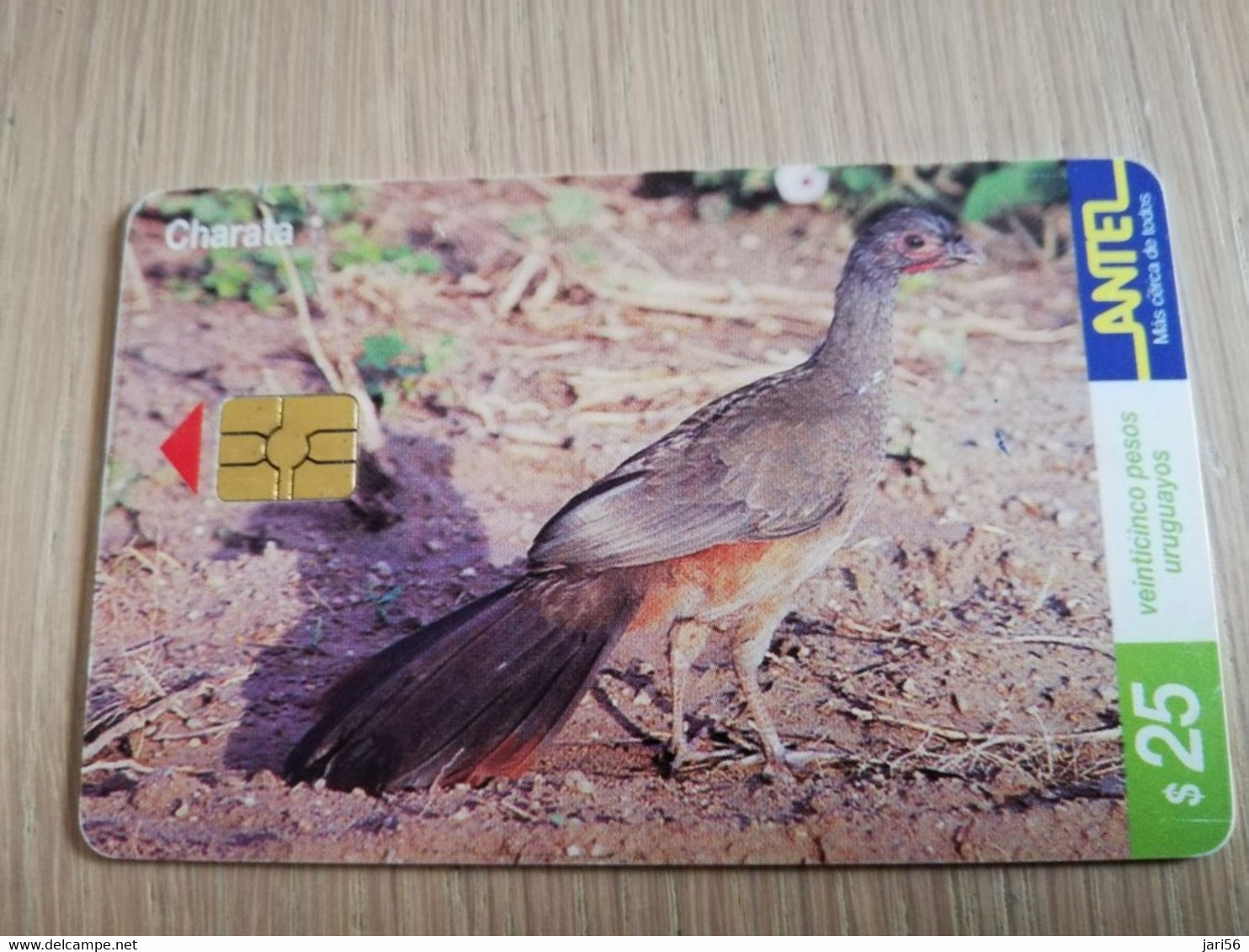 URUGUAY CHIPCARD  BIRD /VOGEL  $25  CHARATA           Nice Used Card    **4522** - Uruguay