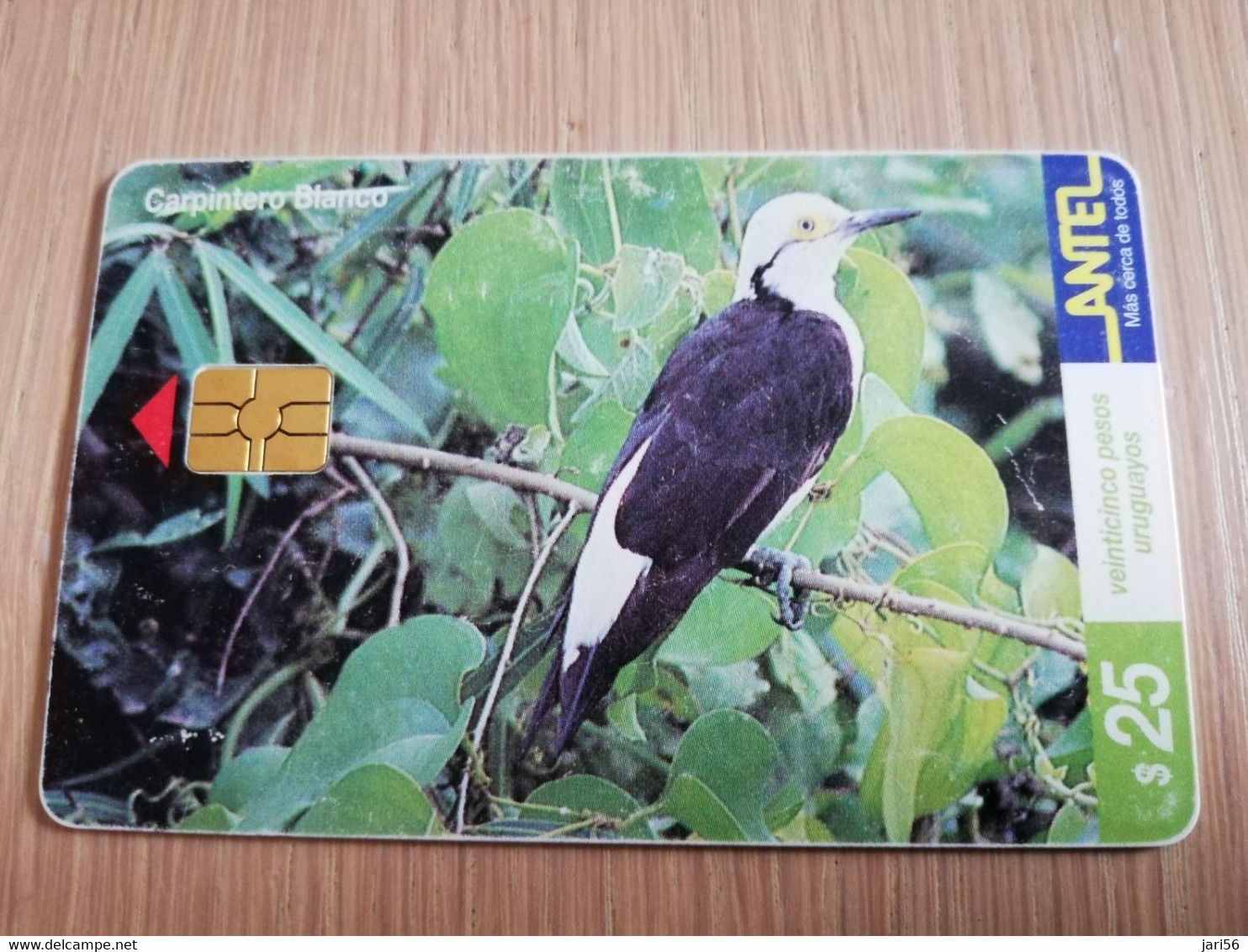 URUGUAY CHIPCARD  BIRD /VOGEL  $25  CARPINTERO BLANCO          Nice Used Card    **4524** - Uruguay