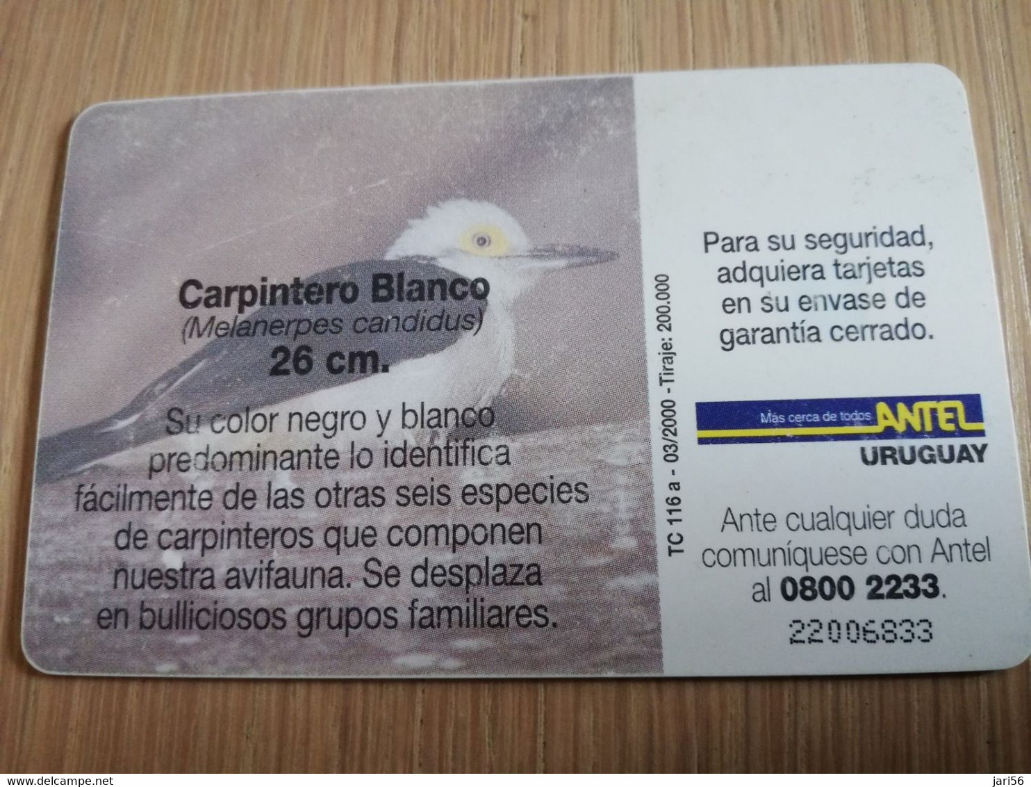 URUGUAY CHIPCARD  BIRD /VOGEL  $25  CARPINTERO BLANCO          Nice Used Card    **4524** - Uruguay