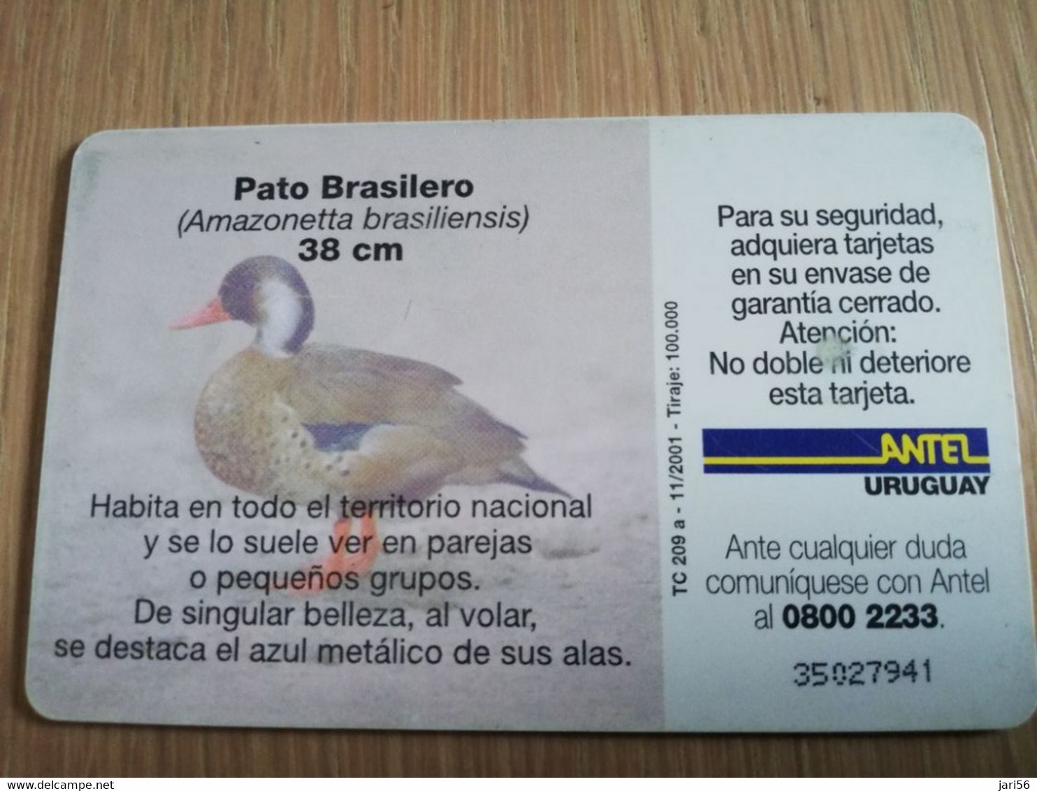 URUGUAY CHIPCARD  BIRD /VOGEL  $25  PATO BRASILERO           Nice Used Card    **4526** - Uruguay