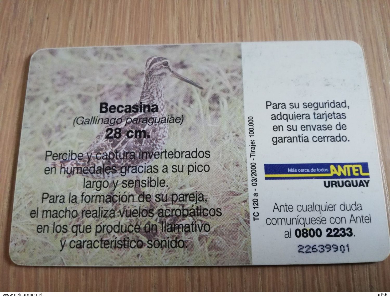 URUGUAY CHIPCARD  BIRD /VOGEL  $25  BECASINA            Nice Used Card    **4527** - Uruguay