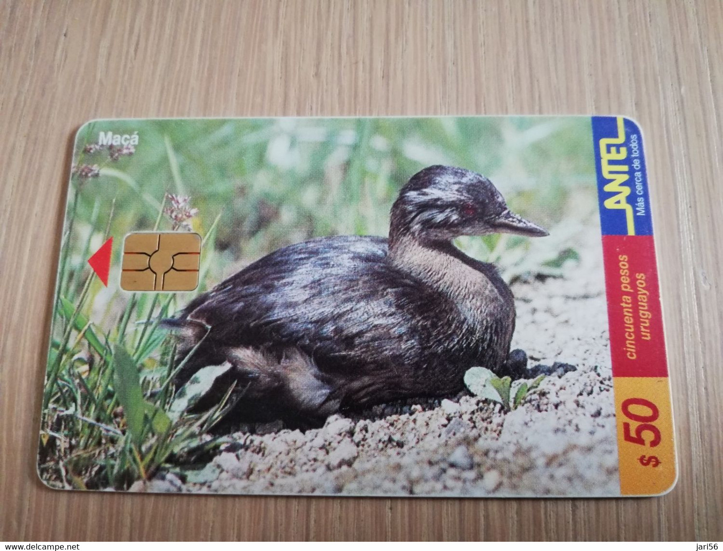 URUGUAY CHIPCARD  BIRD /VOGEL  $50  MACA             Nice Used Card    **4528** - Uruguay