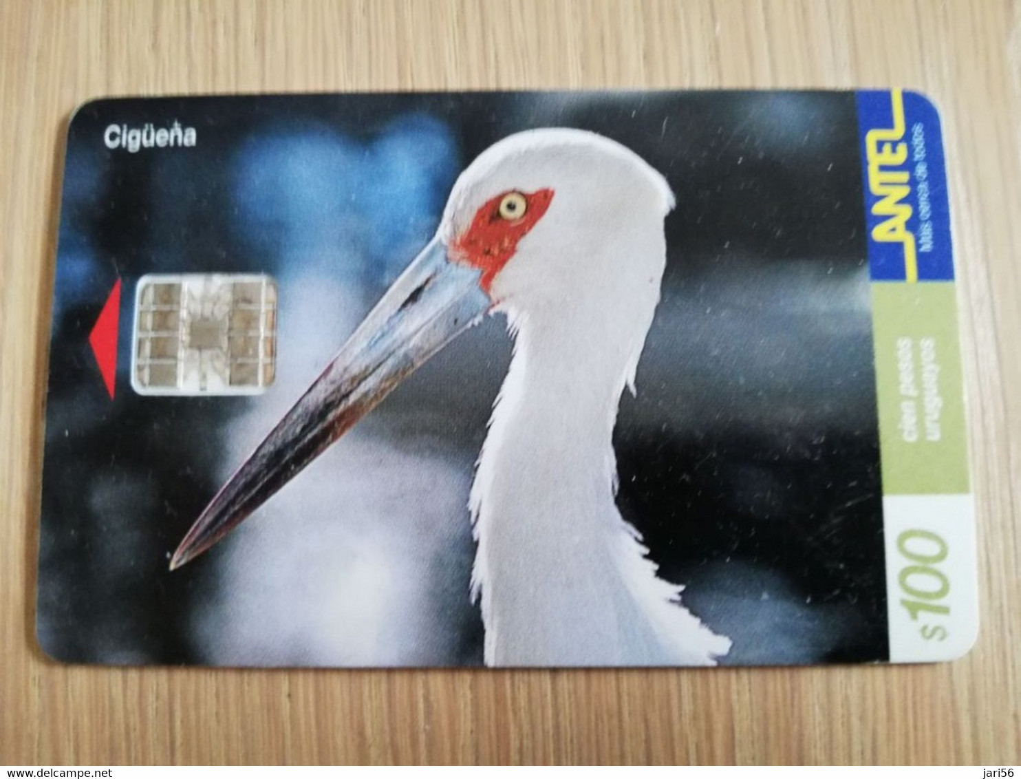 URUGUAY CHIPCARD  BIRD /VOGEL  $100   CIGUENA              Nice Used Card    **4529** - Uruguay