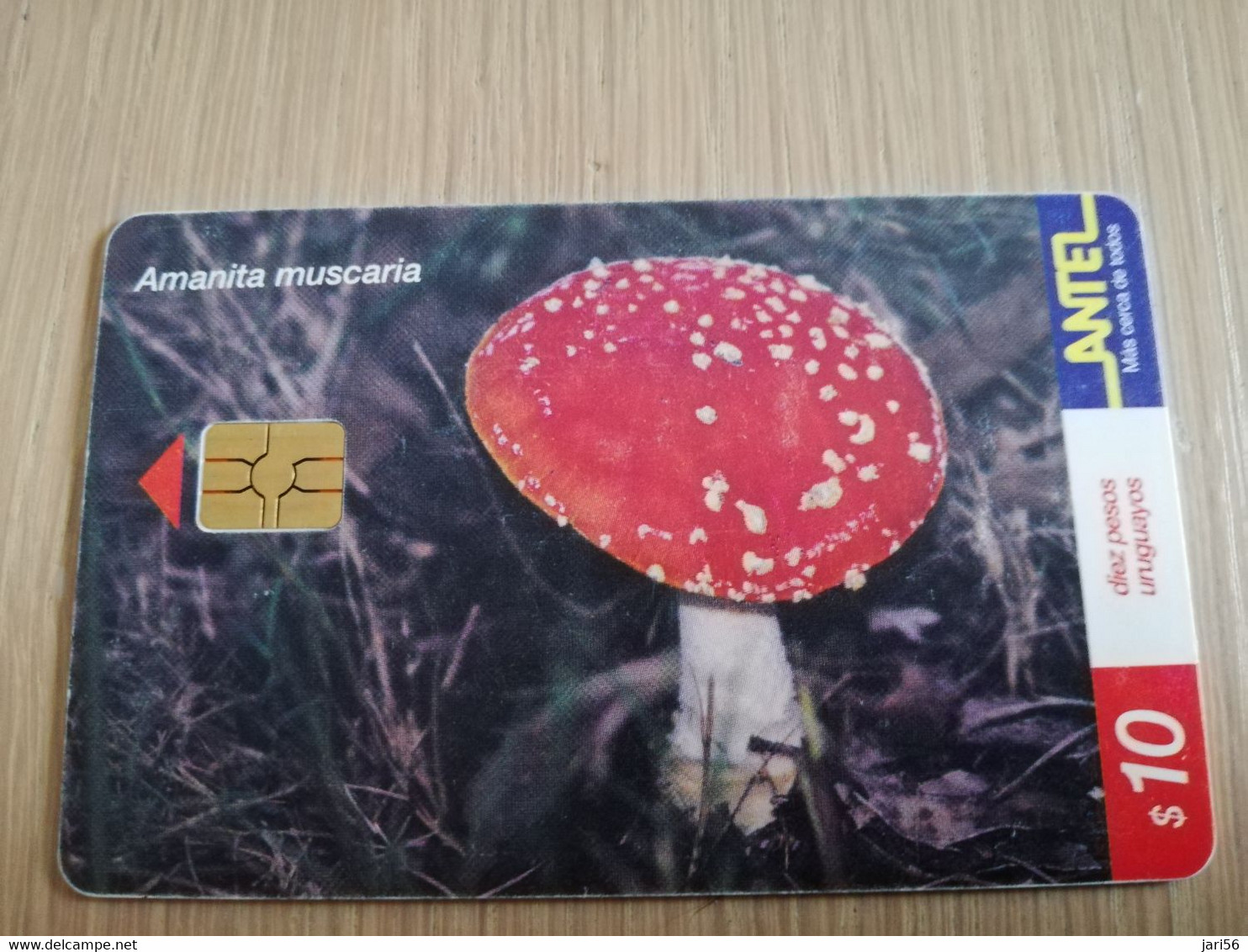 URUGUAY CHIPCARD  MUSHROOM/FUNGHUS   $10   AMANITA MUSCARIA               Nice Used Card    **4530** - Uruguay