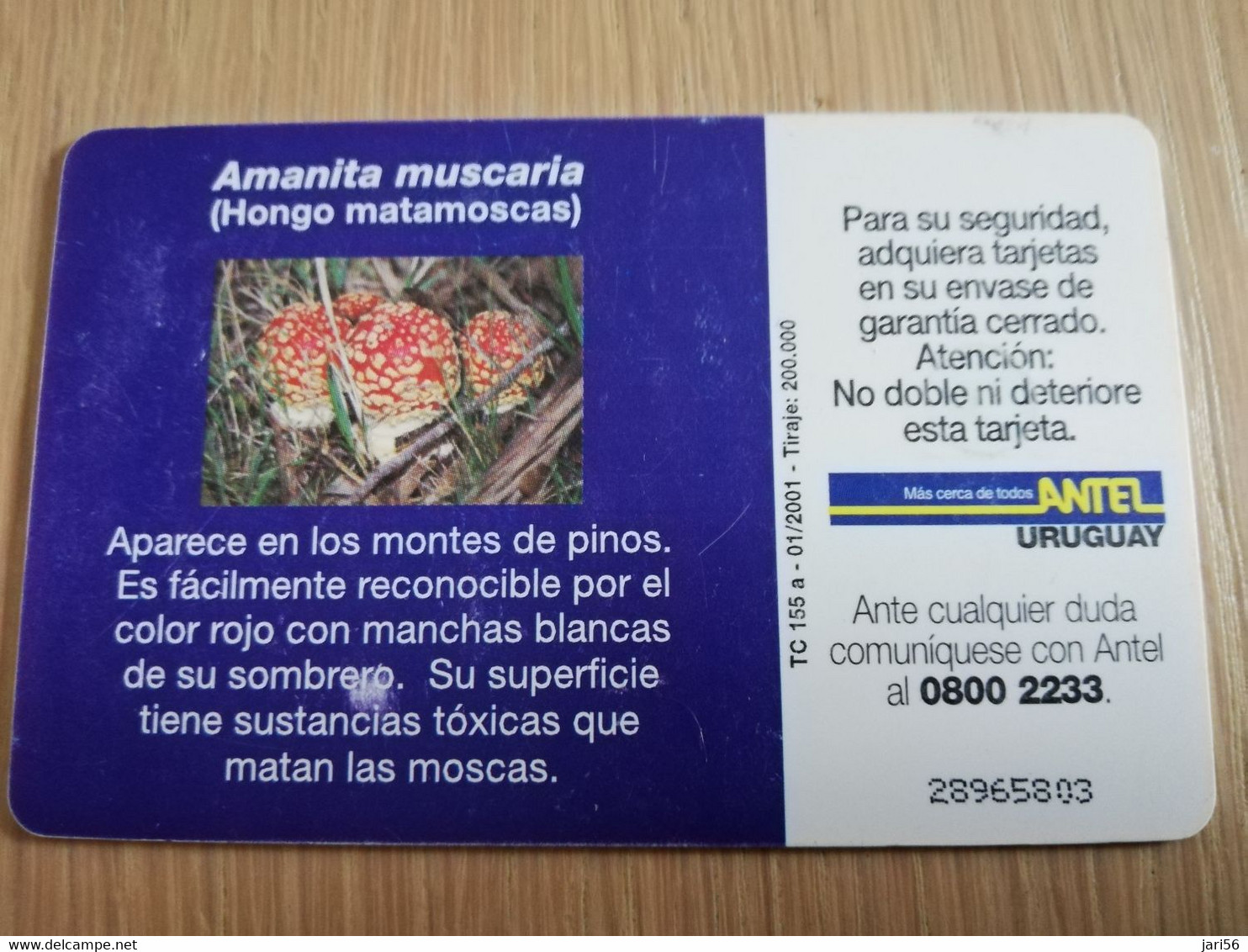 URUGUAY CHIPCARD  MUSHROOM/FUNGHUS   $10   AMANITA MUSCARIA               Nice Used Card    **4530** - Uruguay