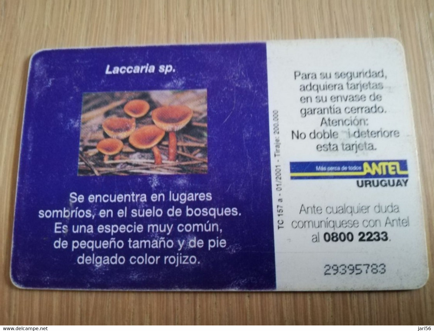 URUGUAY CHIPCARD  MUSHROOM/FUNGHUS   $10 LACCARIA SP               Nice Used Card    **4532** - Uruguay