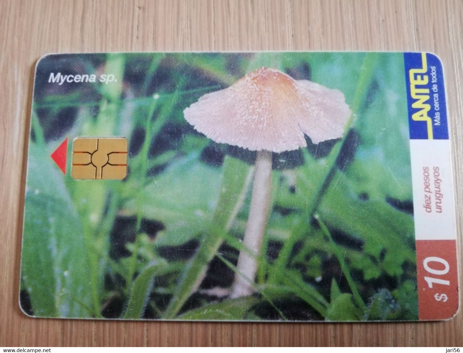 URUGUAY CHIPCARD  MUSHROOM/FUNGHUS   $10 MYCENA SP              Nice Used Card    **4533** - Uruguay