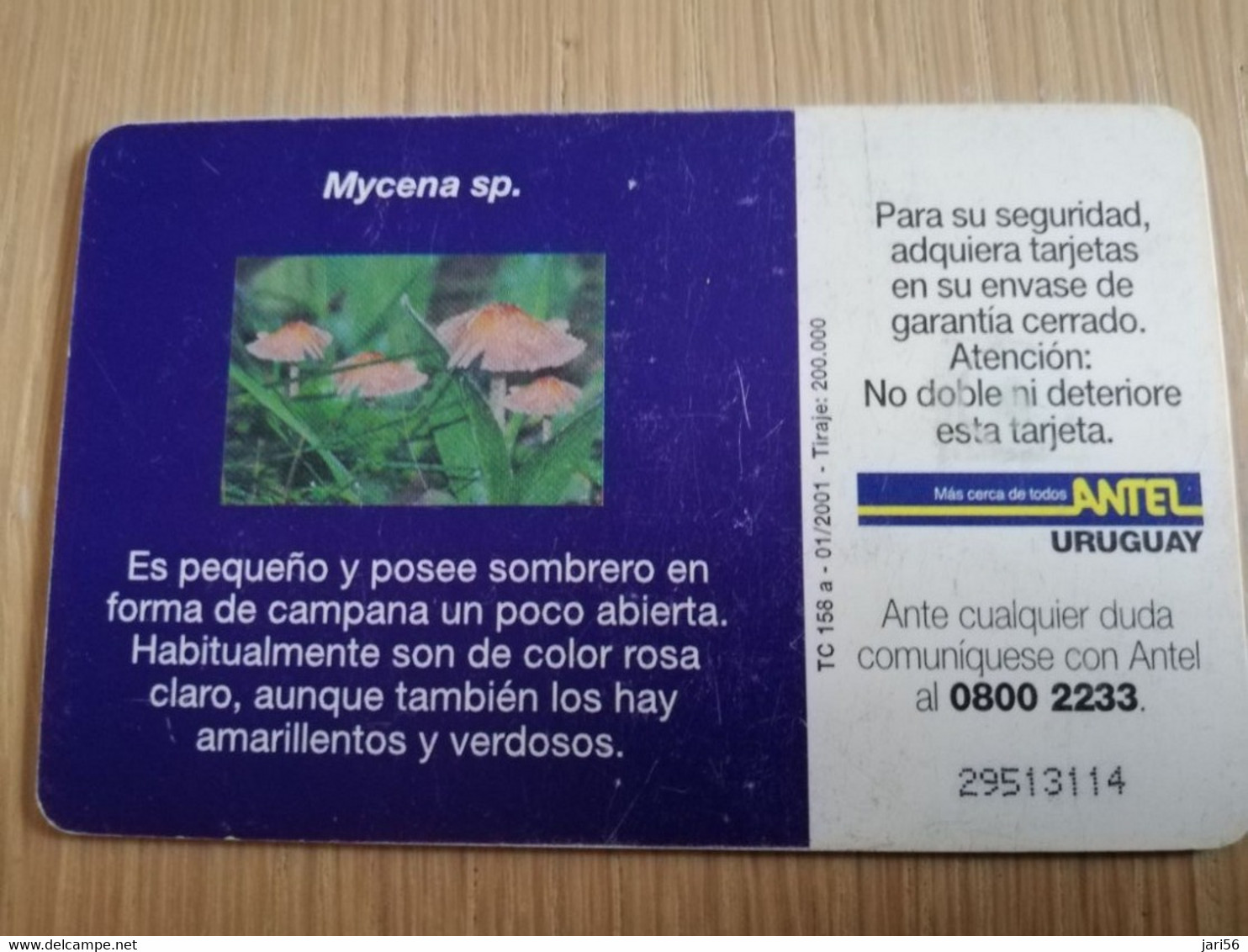 URUGUAY CHIPCARD  MUSHROOM/FUNGHUS   $10 MYCENA SP              Nice Used Card    **4533** - Uruguay