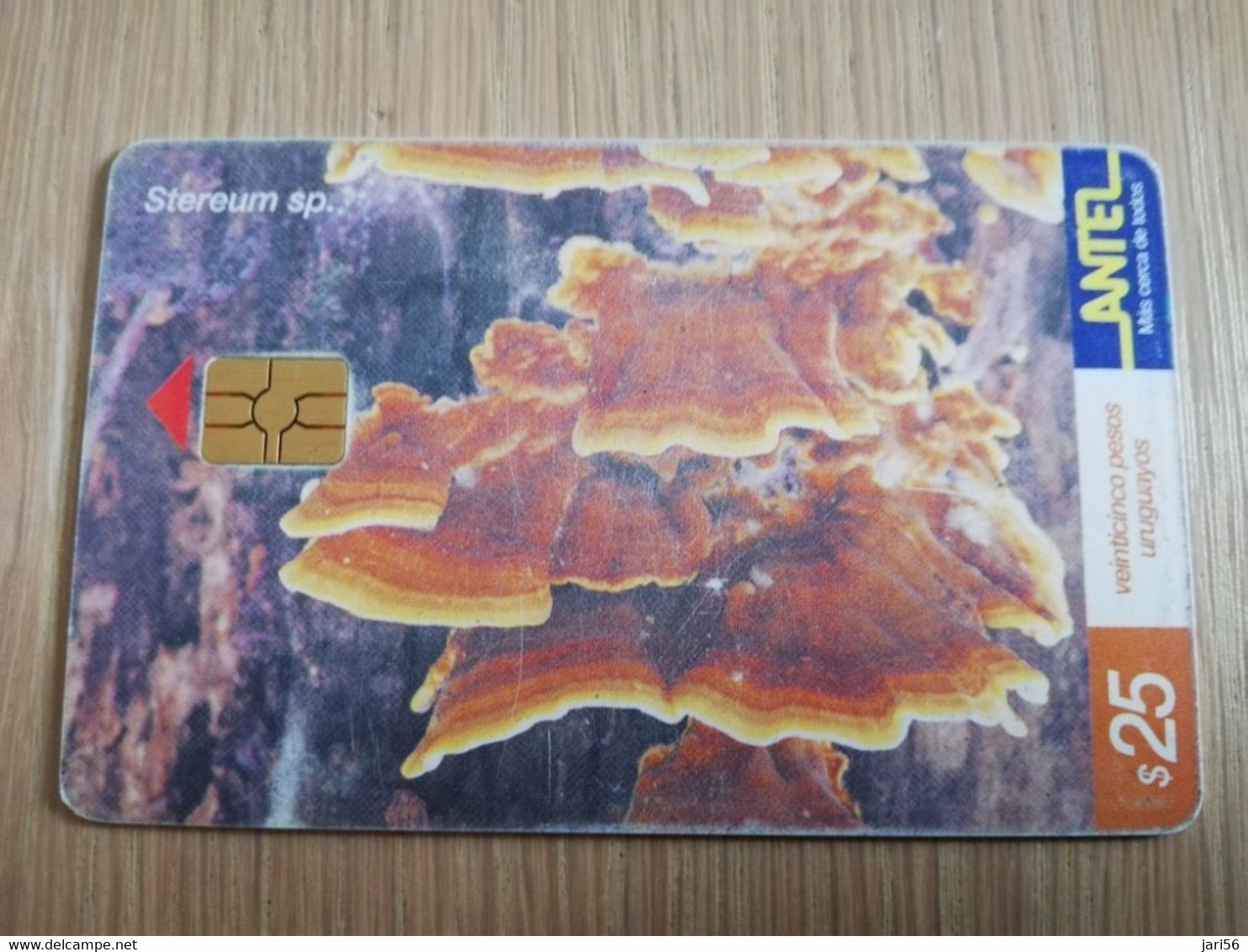 URUGUAY CHIPCARD  MUSHROOM/FUNGHUS   $25 STEREUM SP              Nice Used Card    **4534** - Uruguay