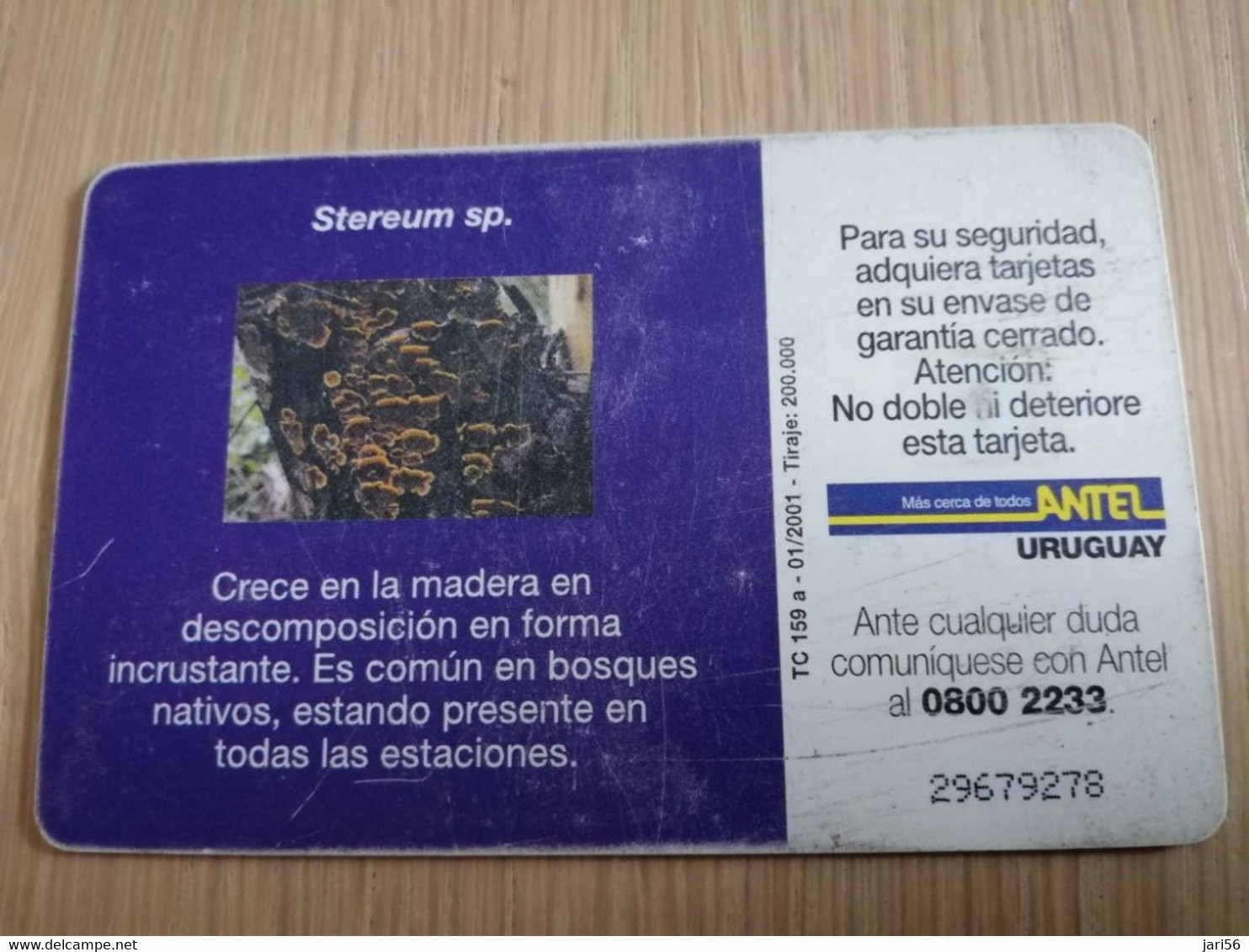 URUGUAY CHIPCARD  MUSHROOM/FUNGHUS   $25 STEREUM SP              Nice Used Card    **4534** - Uruguay