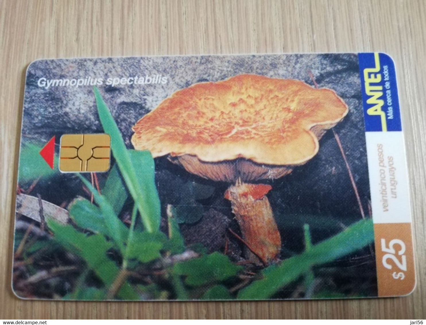 URUGUAY CHIPCARD  MUSHROOM/FUNGHUS   $25 GYMNOPILUS SPECTABILIS              Nice Used Card    **4535** - Uruguay