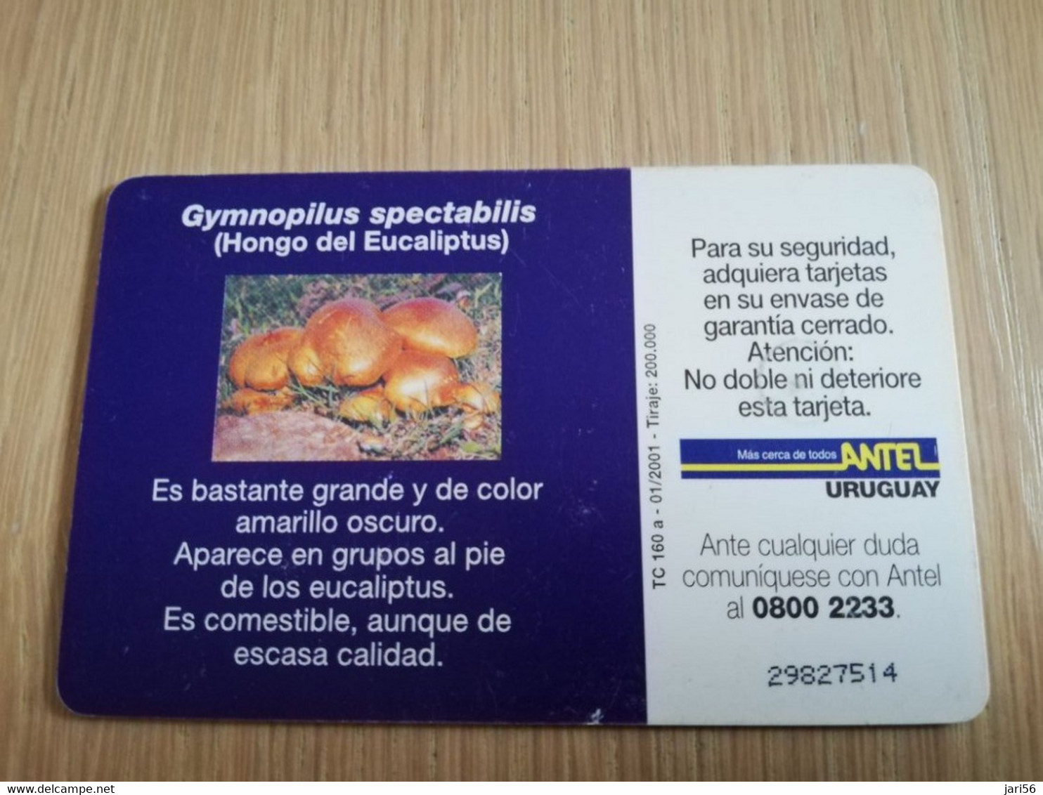 URUGUAY CHIPCARD  MUSHROOM/FUNGHUS   $25 GYMNOPILUS SPECTABILIS              Nice Used Card    **4535** - Uruguay