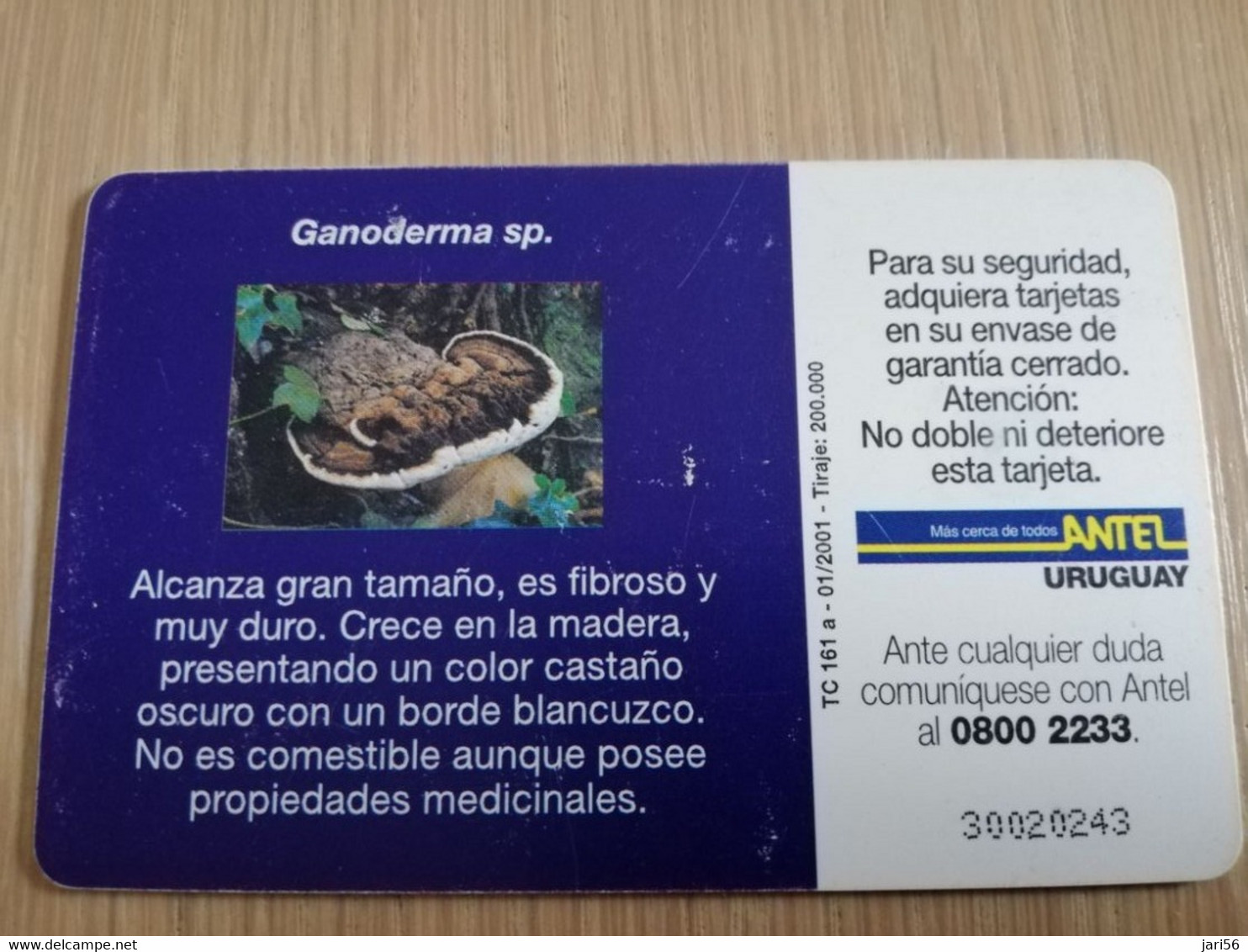 URUGUAY CHIPCARD  MUSHROOM/FUNGHUS   $25 GANODERMA SP              Nice Used Card    **4536** - Uruguay