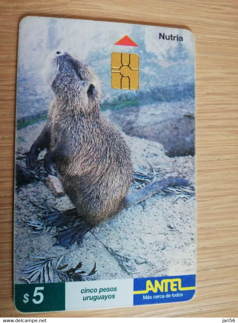 URUGUAY CHIPCARD  ANIMAL    $5  NUTRIA           Nice Used Card    **4549** - Uruguay