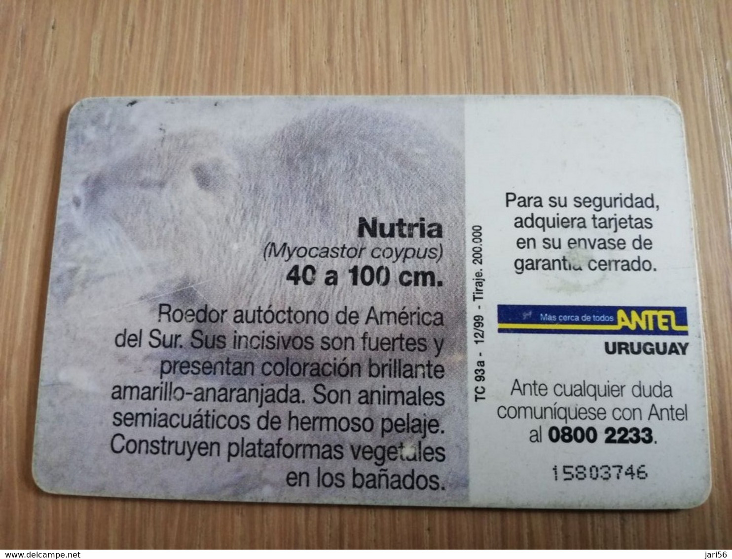 URUGUAY CHIPCARD  ANIMAL    $5  NUTRIA           Nice Used Card    **4549** - Uruguay