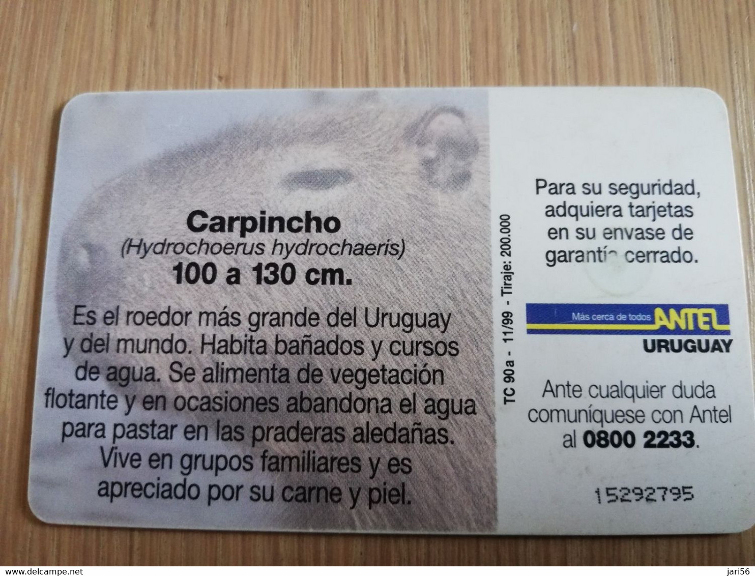URUGUAY CHIPCARD  ANIMAL    $5  CAPINCHO          Nice Used Card    **4551** - Uruguay