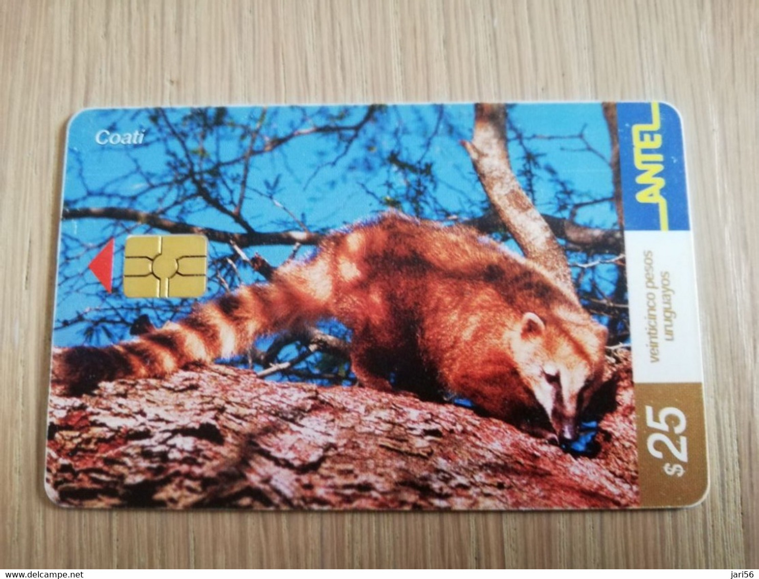 URUGUAY CHIPCARD  ANIMAL    $25    COATI           Nice Used Card    **4553** - Uruguay