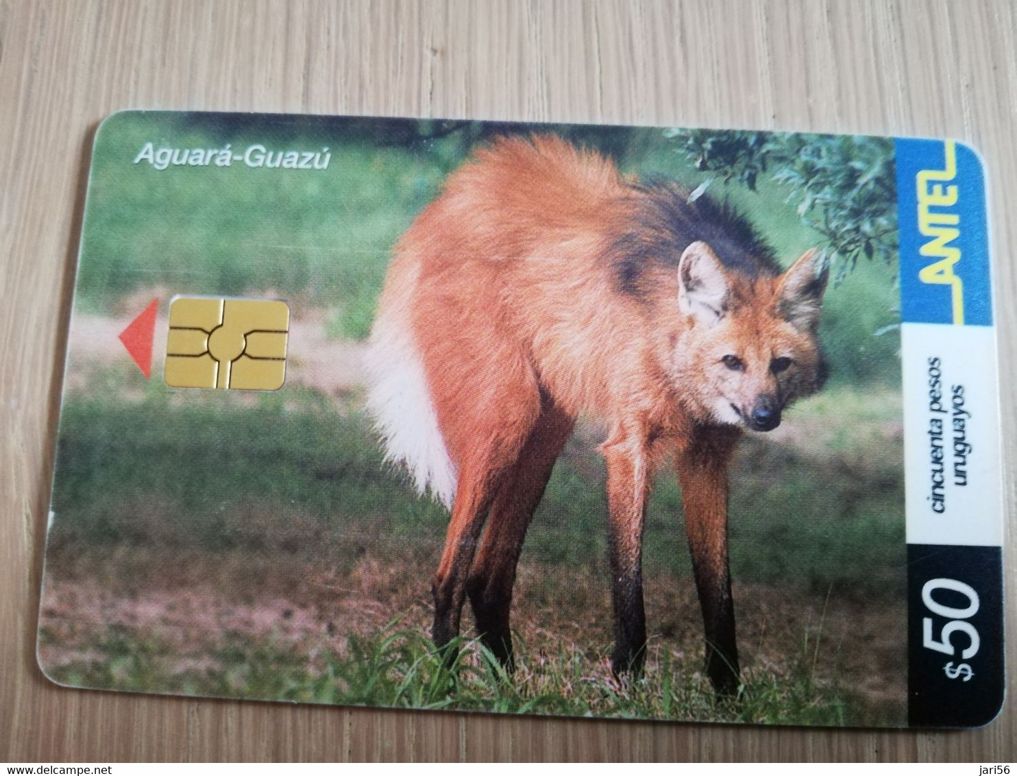 URUGUAY CHIPCARD  ANIMAL    $50   AGUARA-GUAZU           Nice Used Card    **4555** - Uruguay