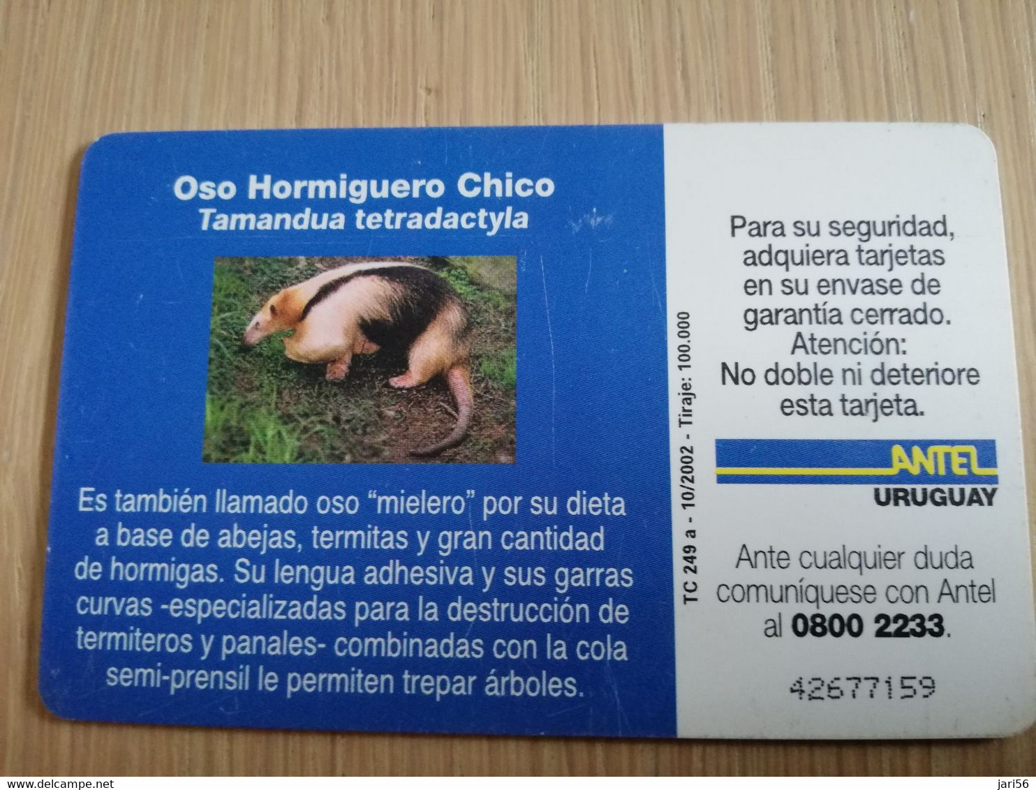 URUGUAY CHIPCARD  ANIMAL    $50   OSO HORMIGUERO           Nice Used Card    **4556** - Uruguay