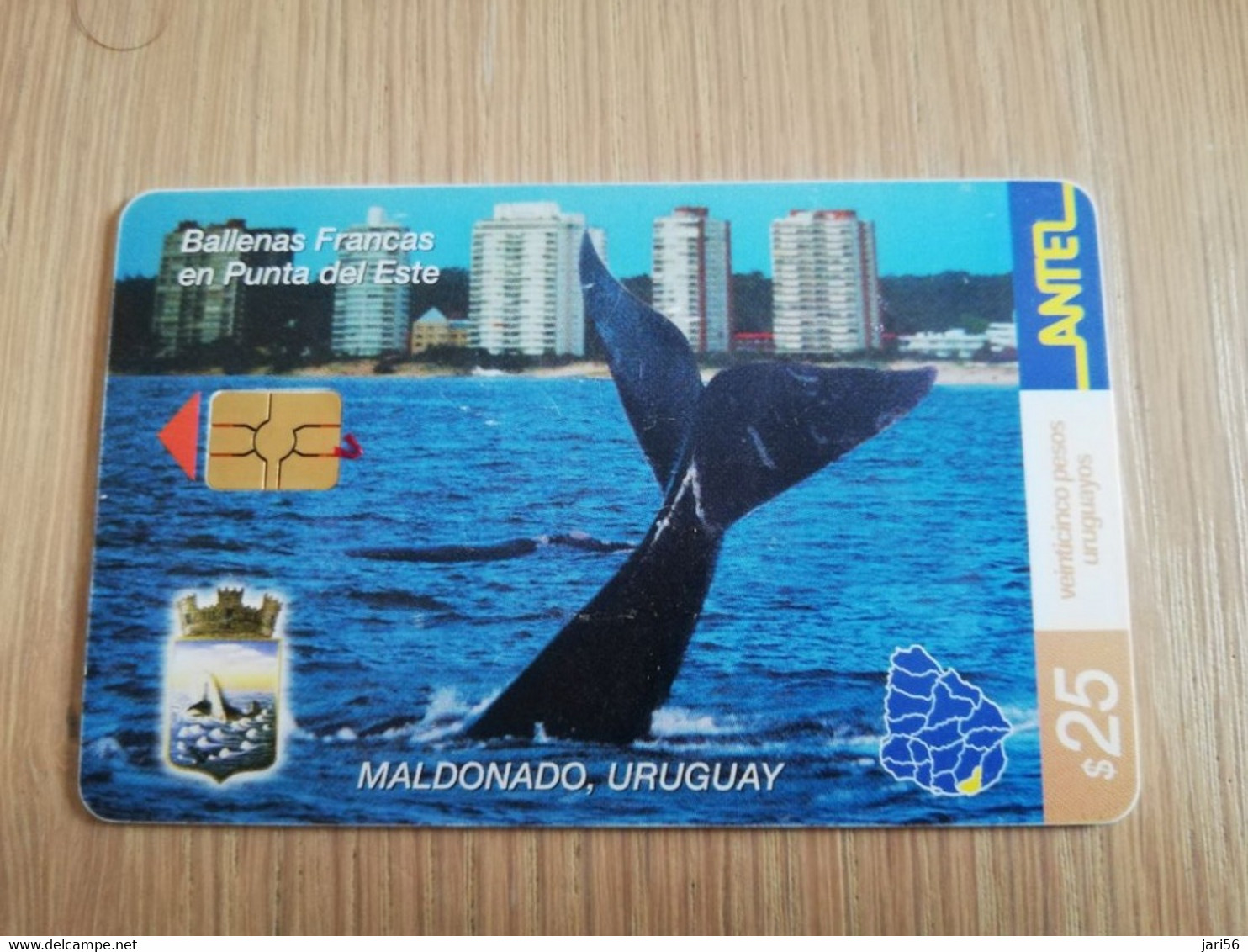 URUGUAY CHIPCARD  ANIMAL    $25   BALENAS FRANCAS  MALDONADO            Nice Used Card    **4557** - Uruguay